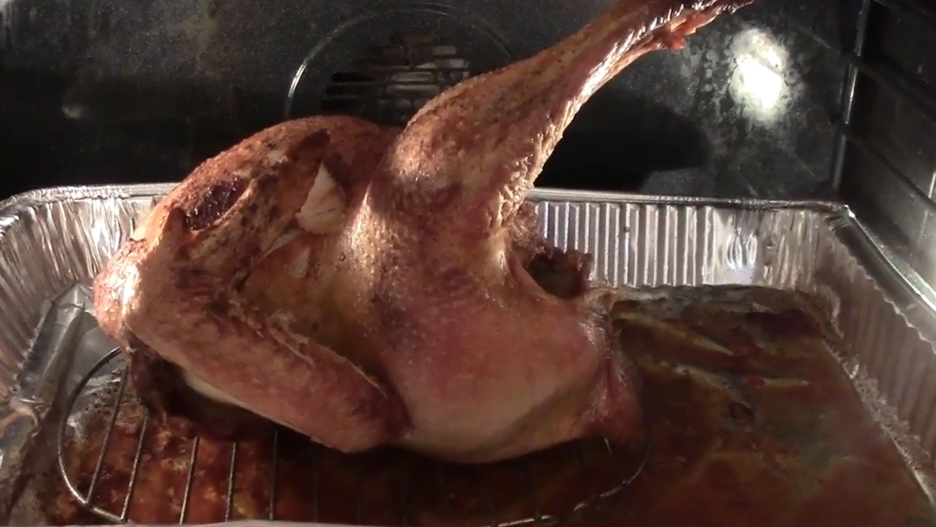 7. Viande de paon