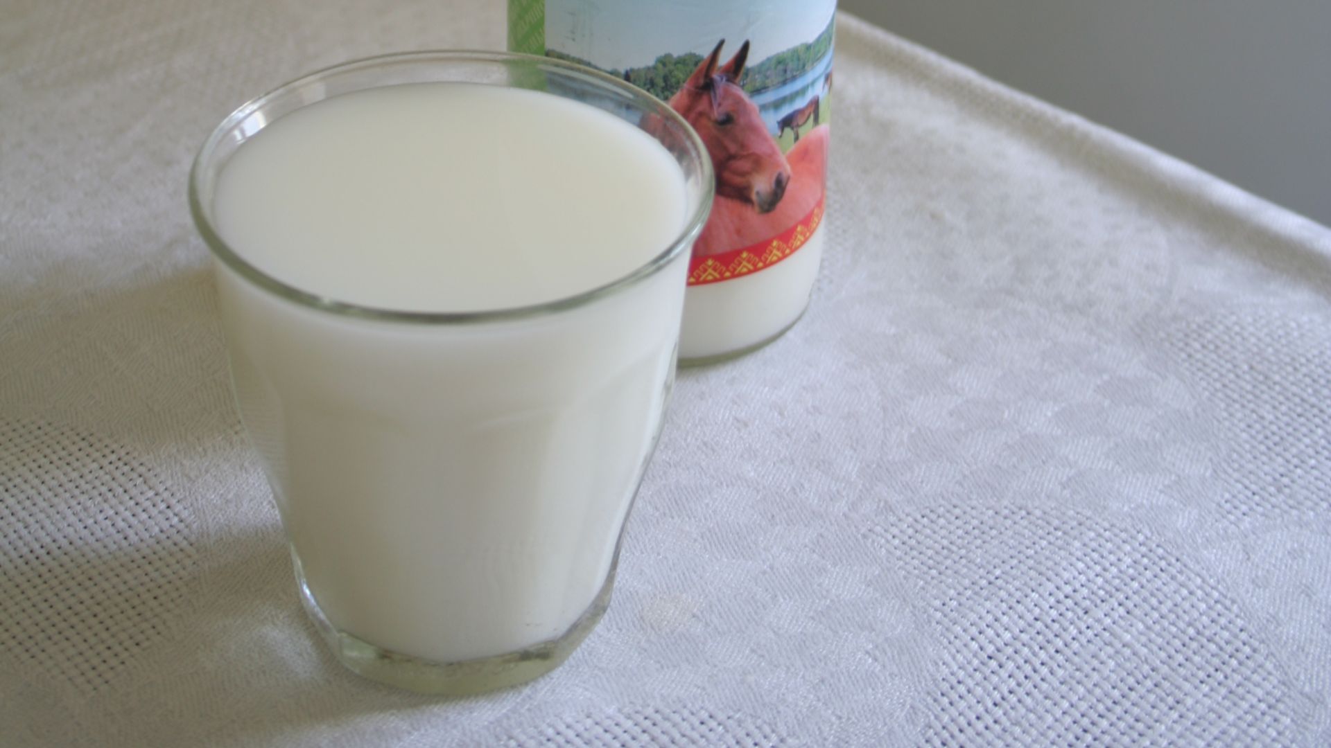 13. Lait de jument fermenté (Kumis)