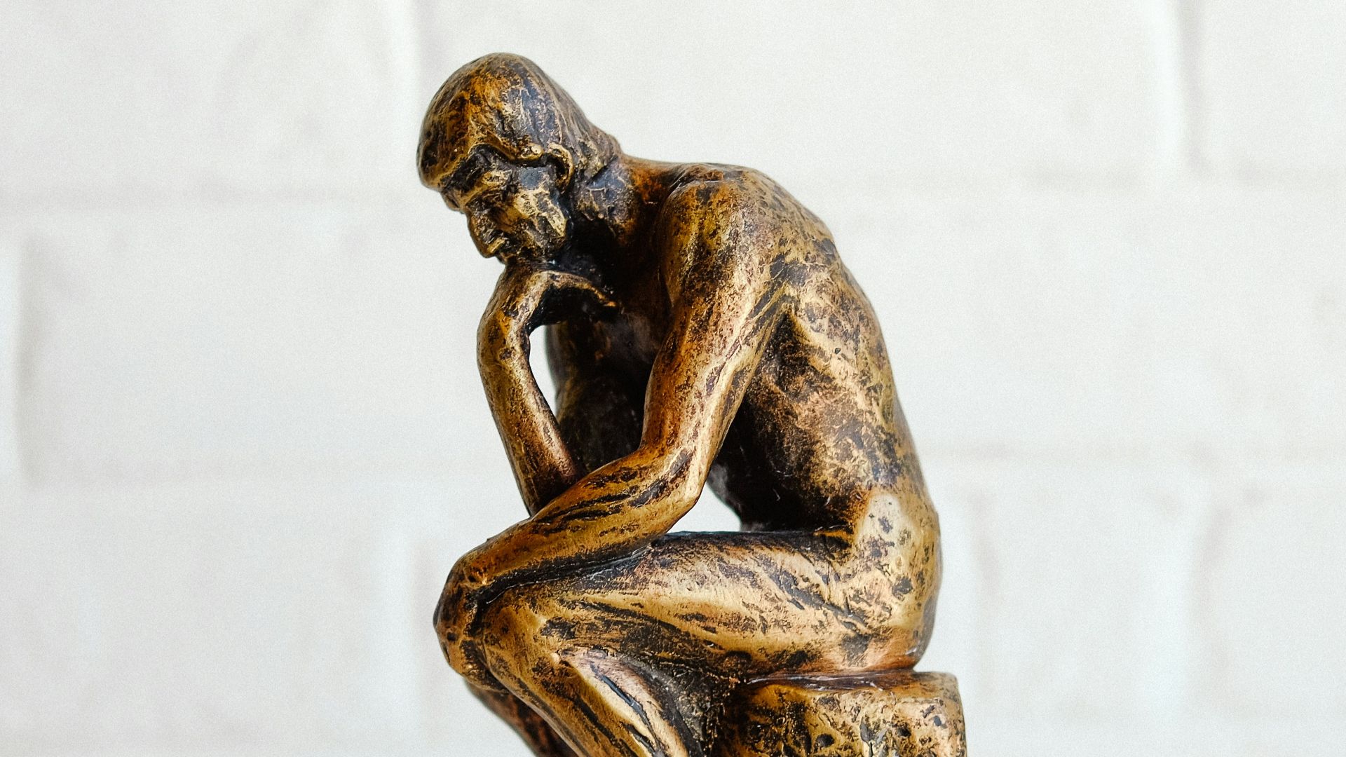 14. Ennemis à l'opinion tranchée