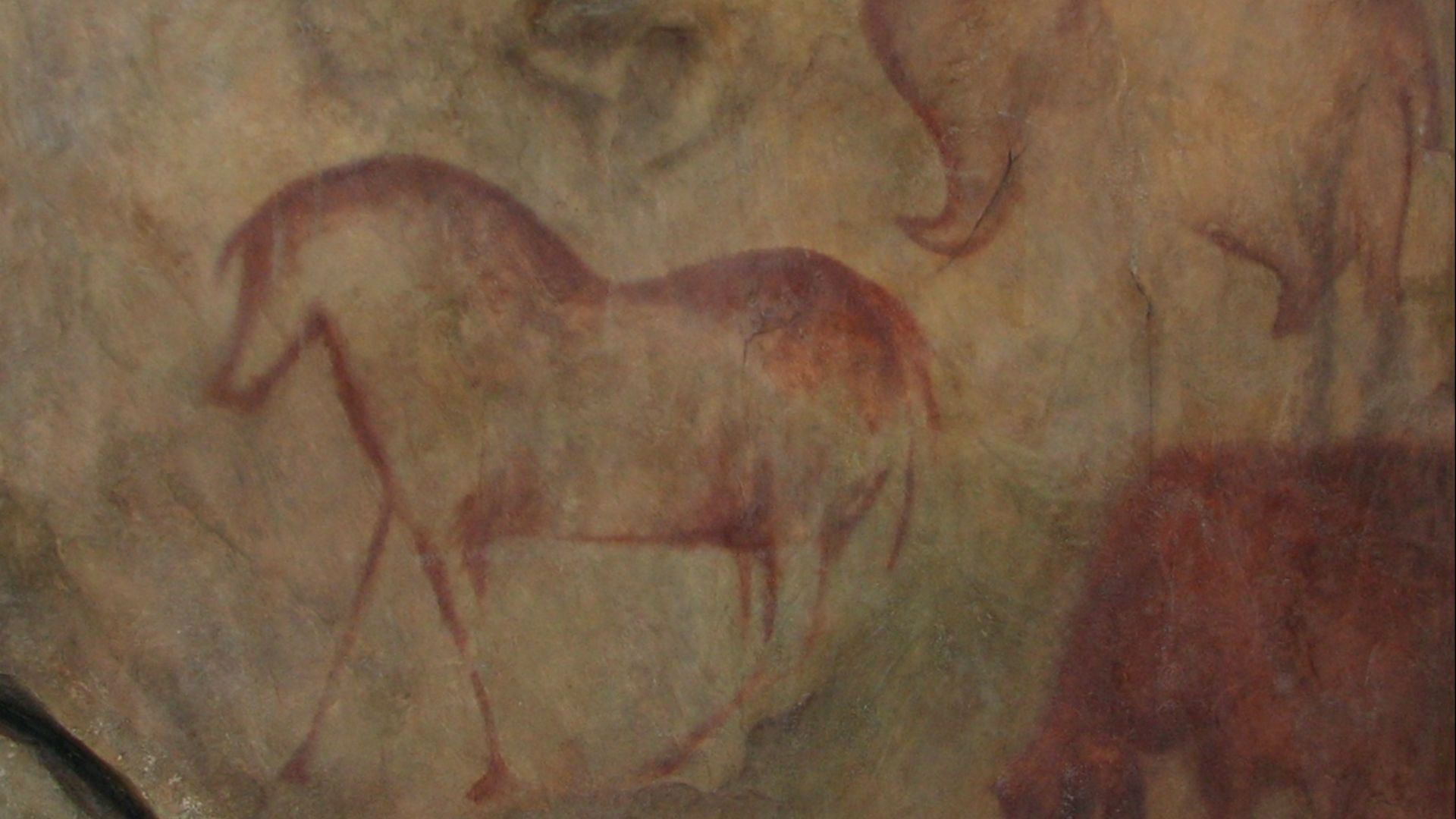 1. Bison de la grotte de Kapova