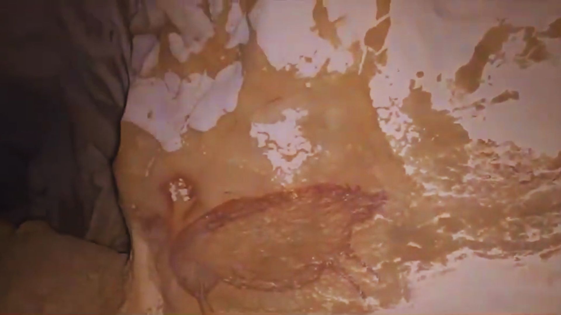 3. Cochon des Célèbes