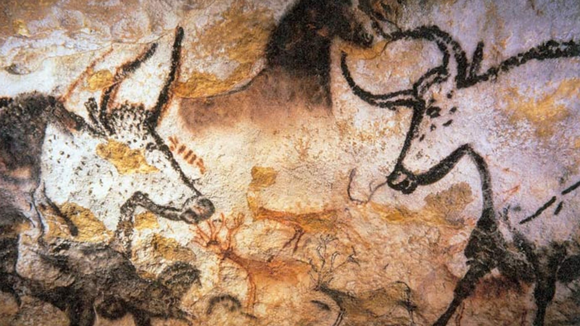 4. La grande salle des taureaux de Lascaux