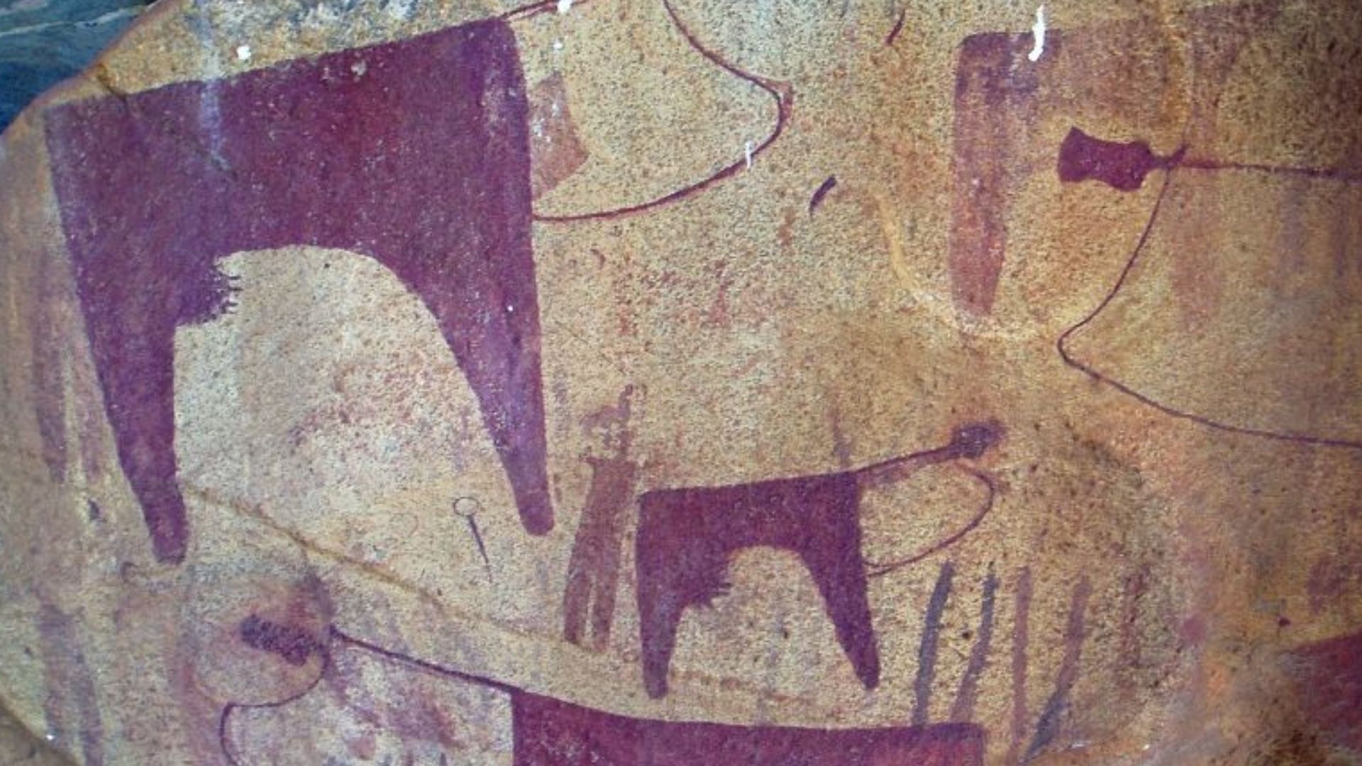 9. Peintures de bovins de Laas Geel