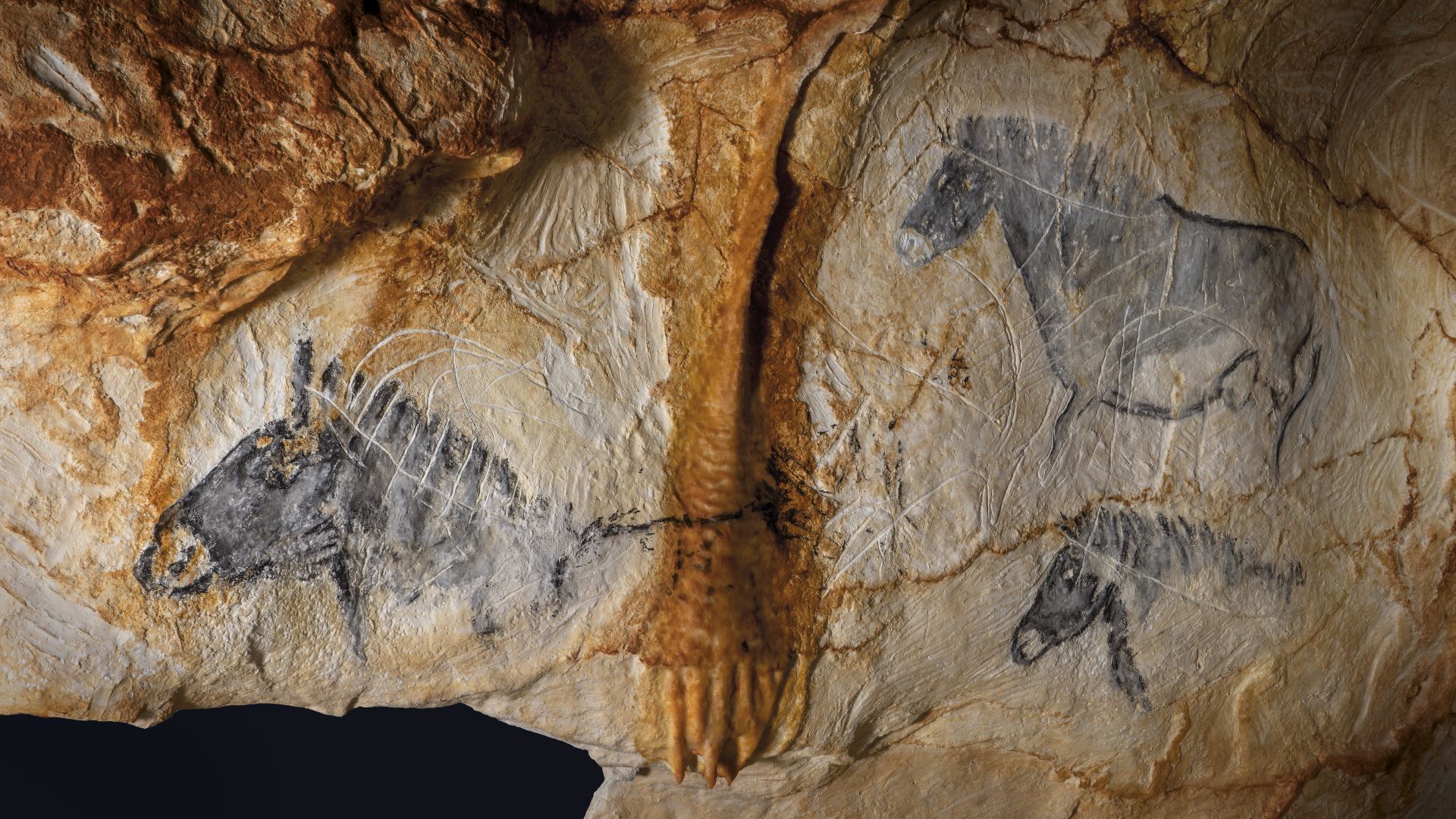 18. Chevaux de la grotte de Cosquer