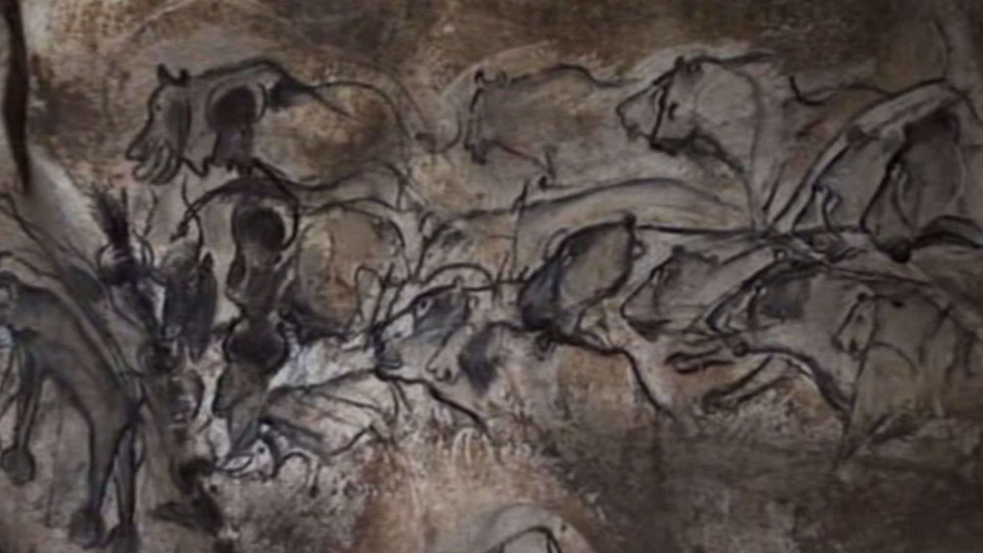 19. Grotte Chauvet Lions
