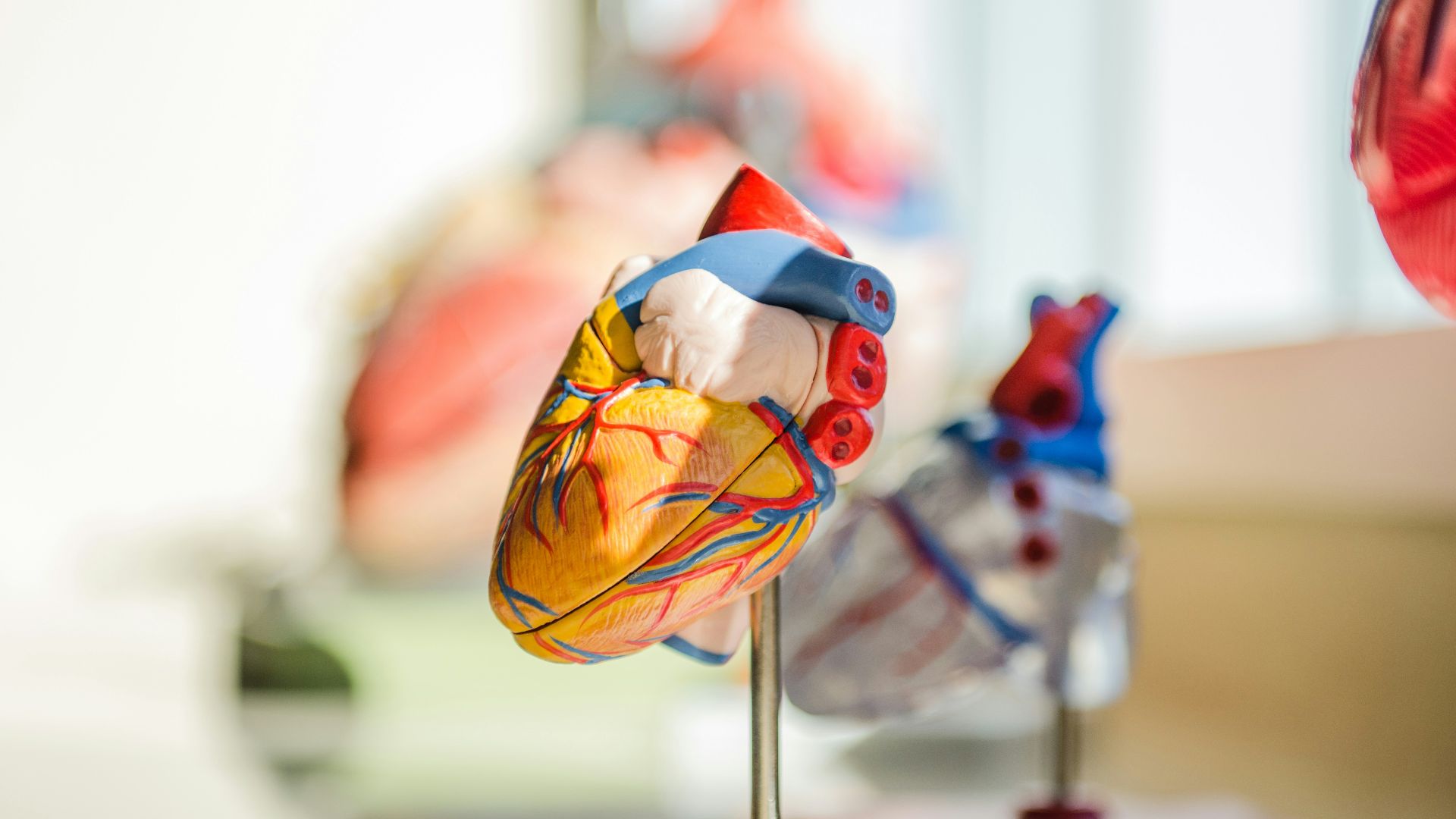 6. Peut réduire le cholestérol et le risque de maladie cardiaque