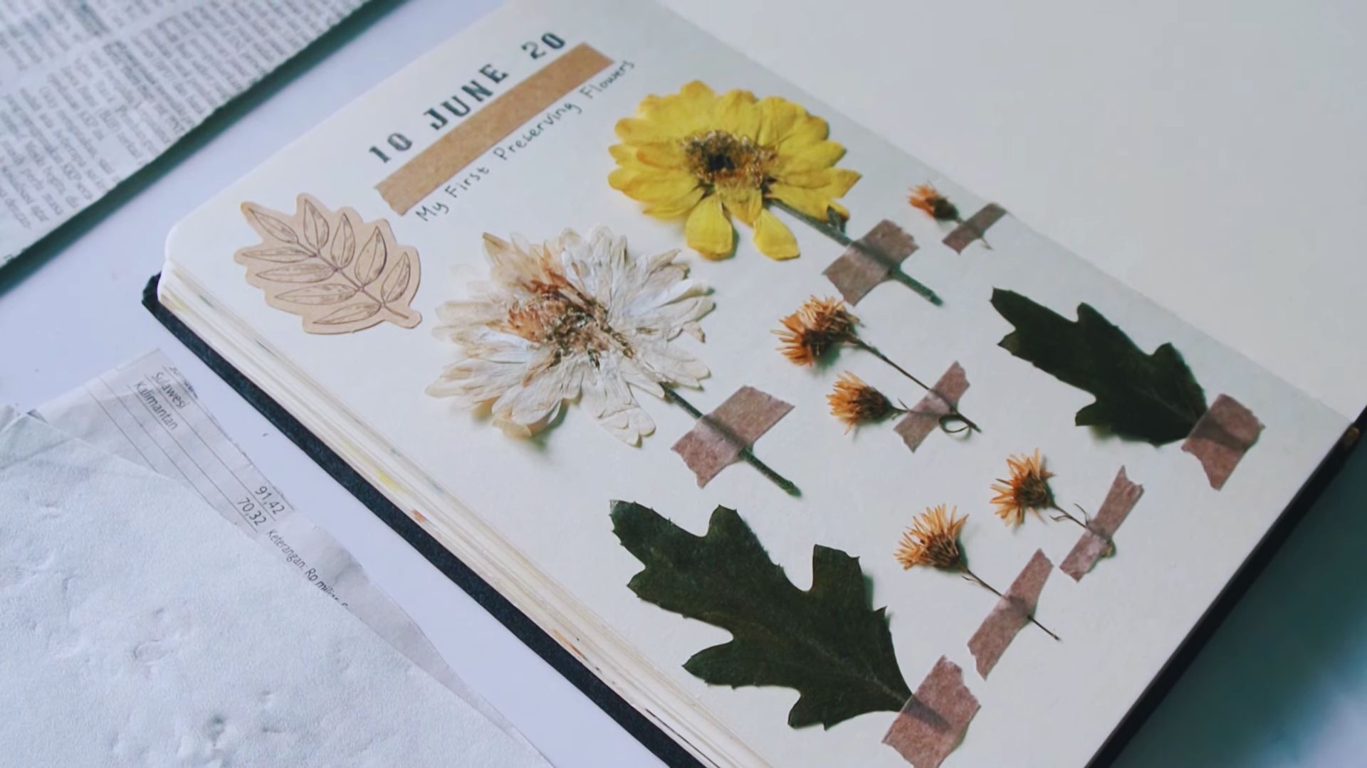 5. Fleurs et feuilles séchées