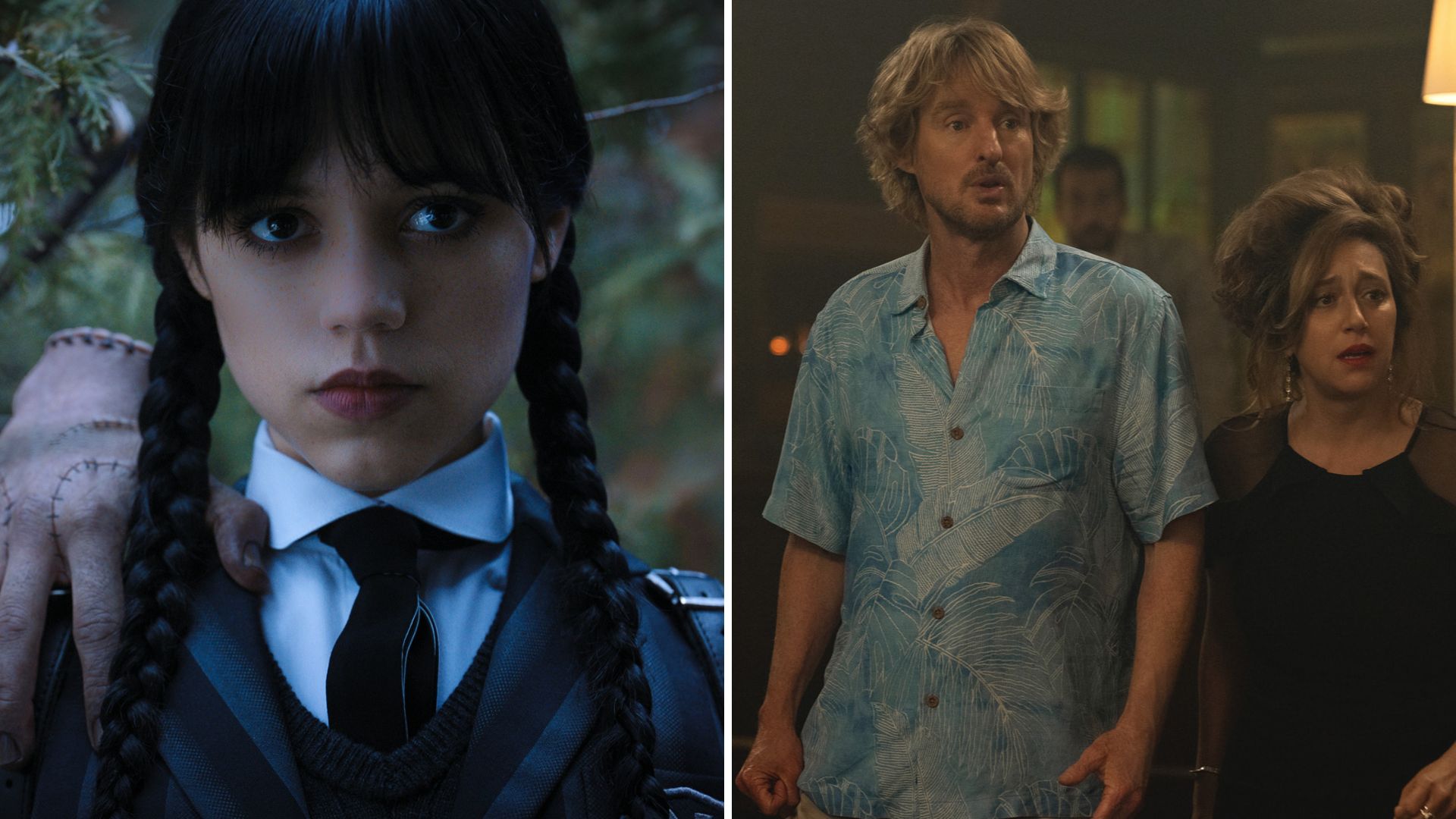 Cancelled or renewed? Wednesday, Stick and more!