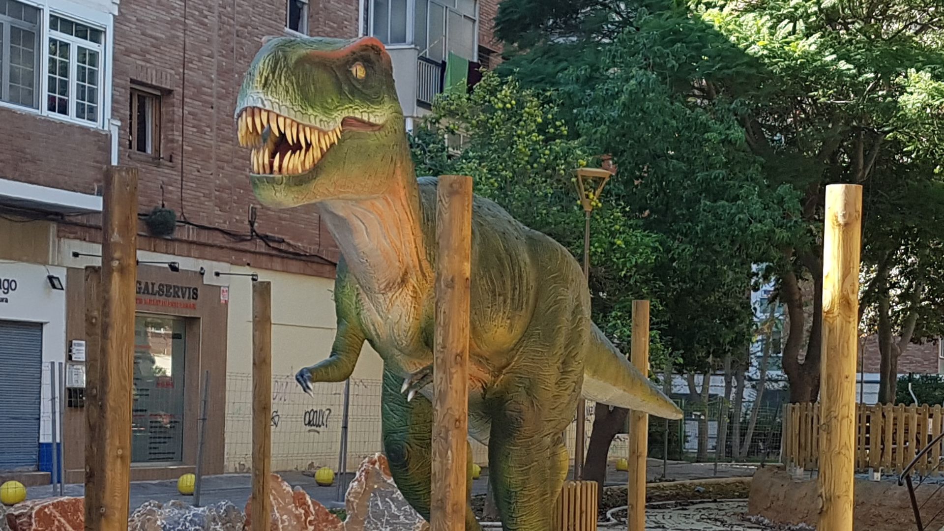 4. Crâne de Tyrannosaurus Rex