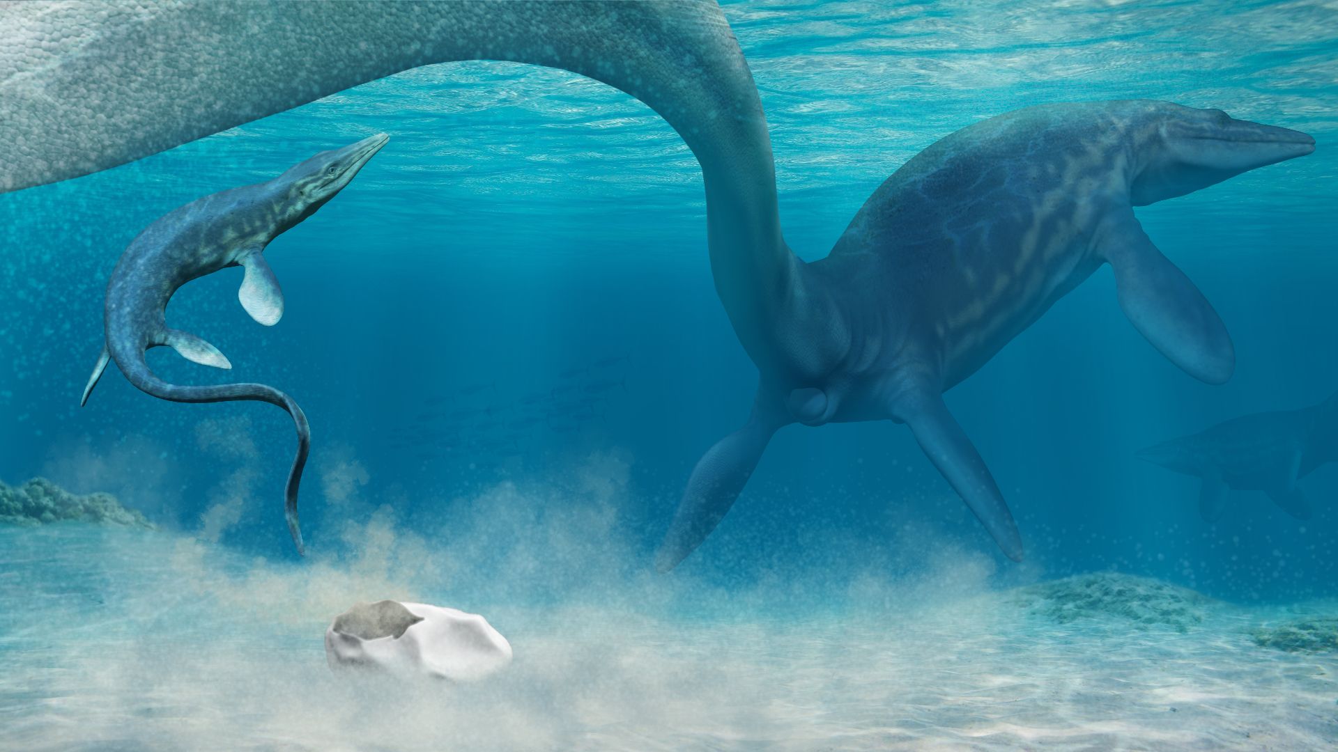 11. Mosasaures à queue de requin