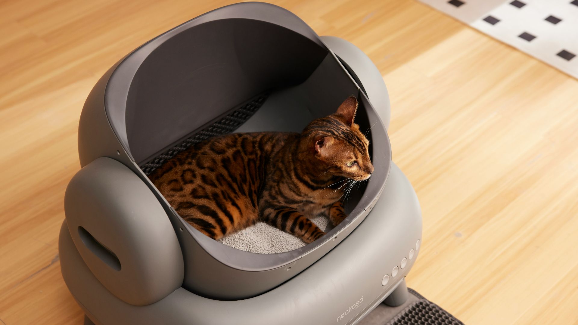 19. Litière pour chats