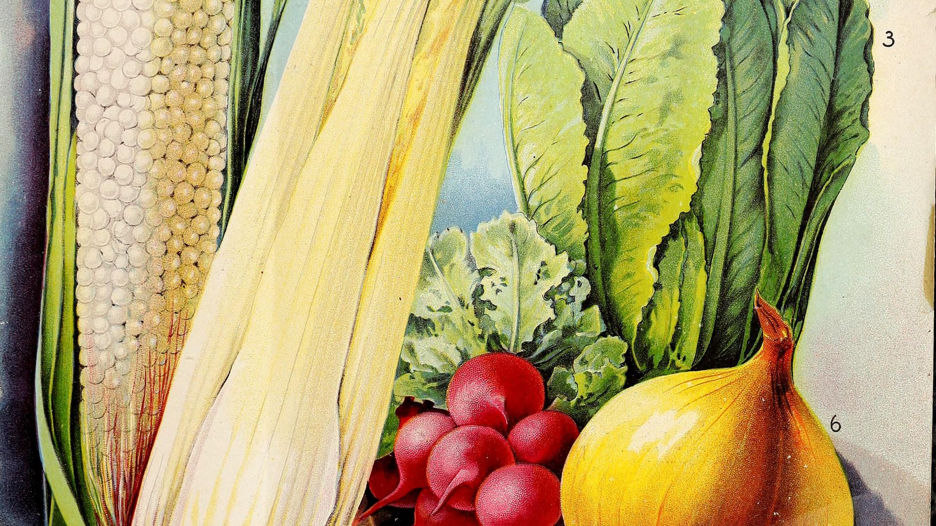 1. salade de la perfection 1910