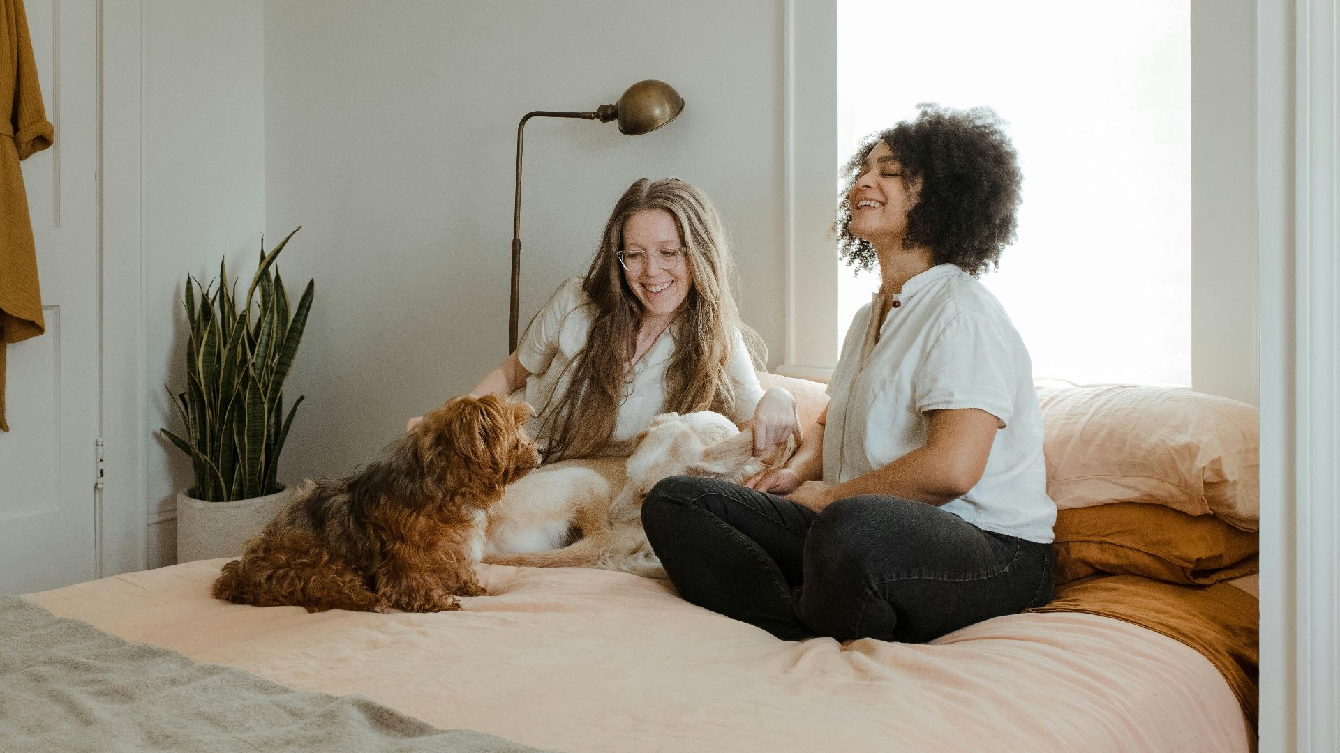 16. Offre de garde temporaire d'animaux ou d'enfants