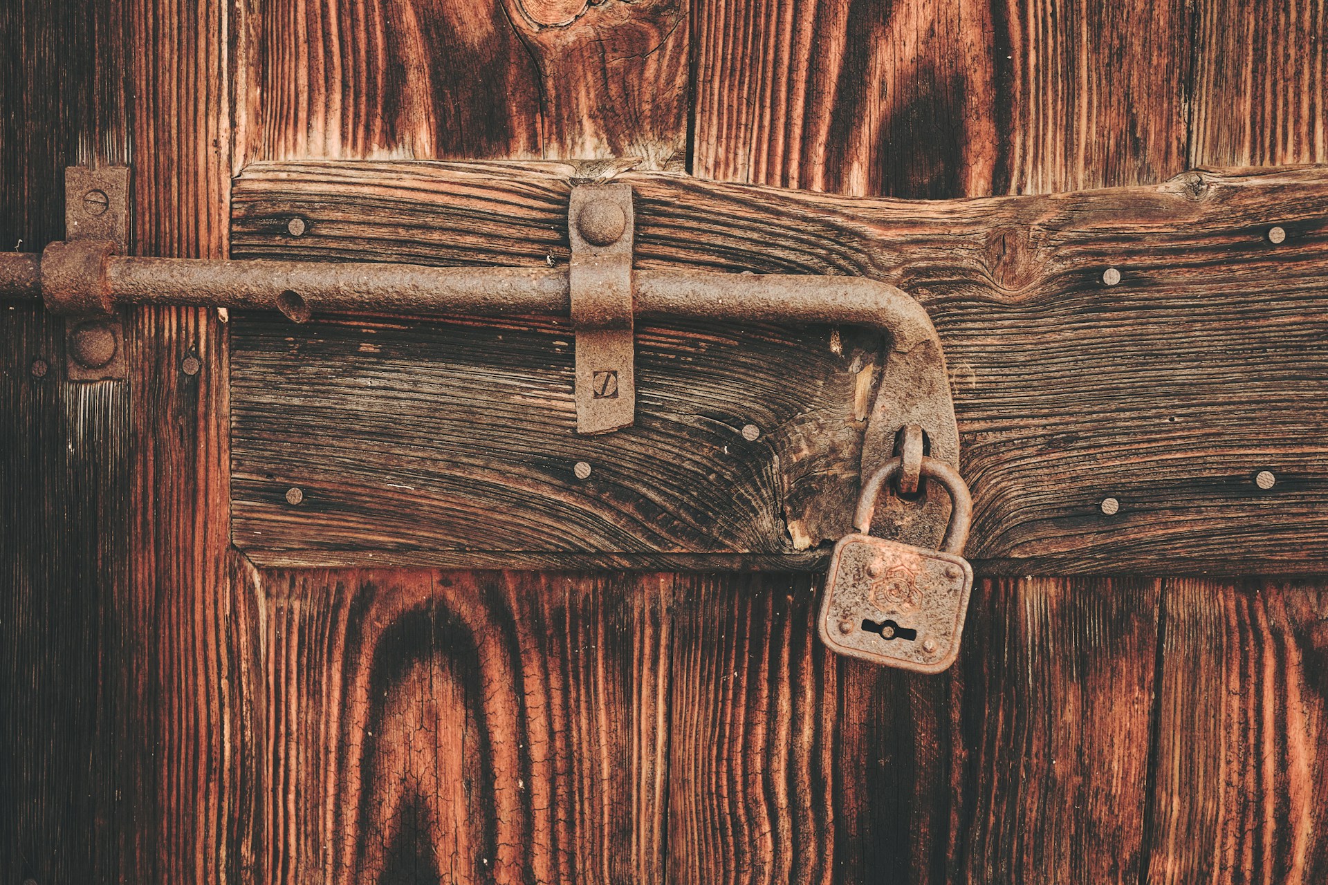 Go Back to Your Rustic Roots