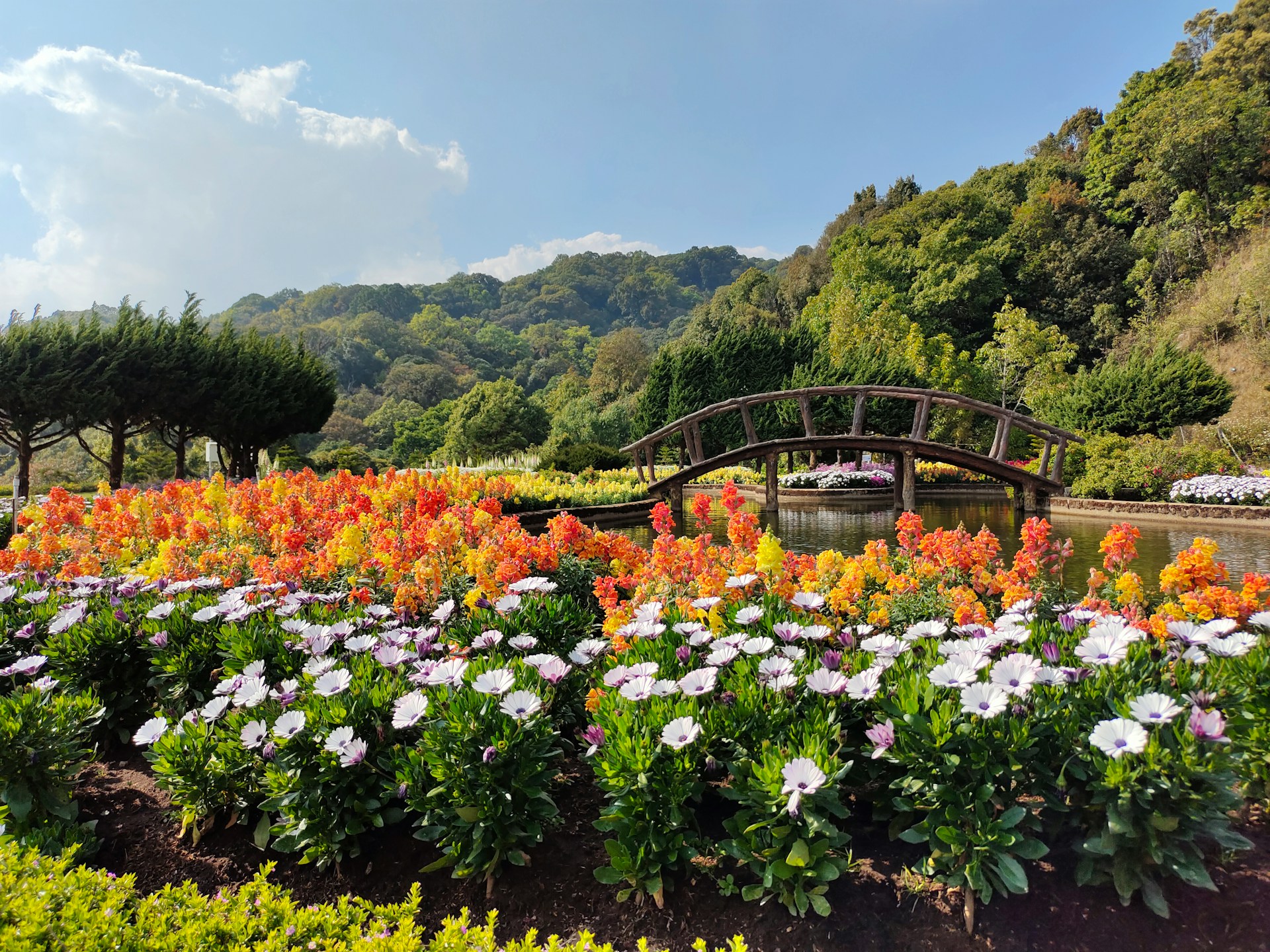 Stroll Through a Breezy Garden