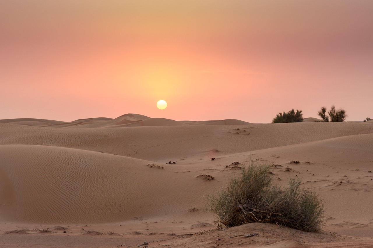 15 Amazing Desert Landscapes Resplendent with Cinematic Beauty