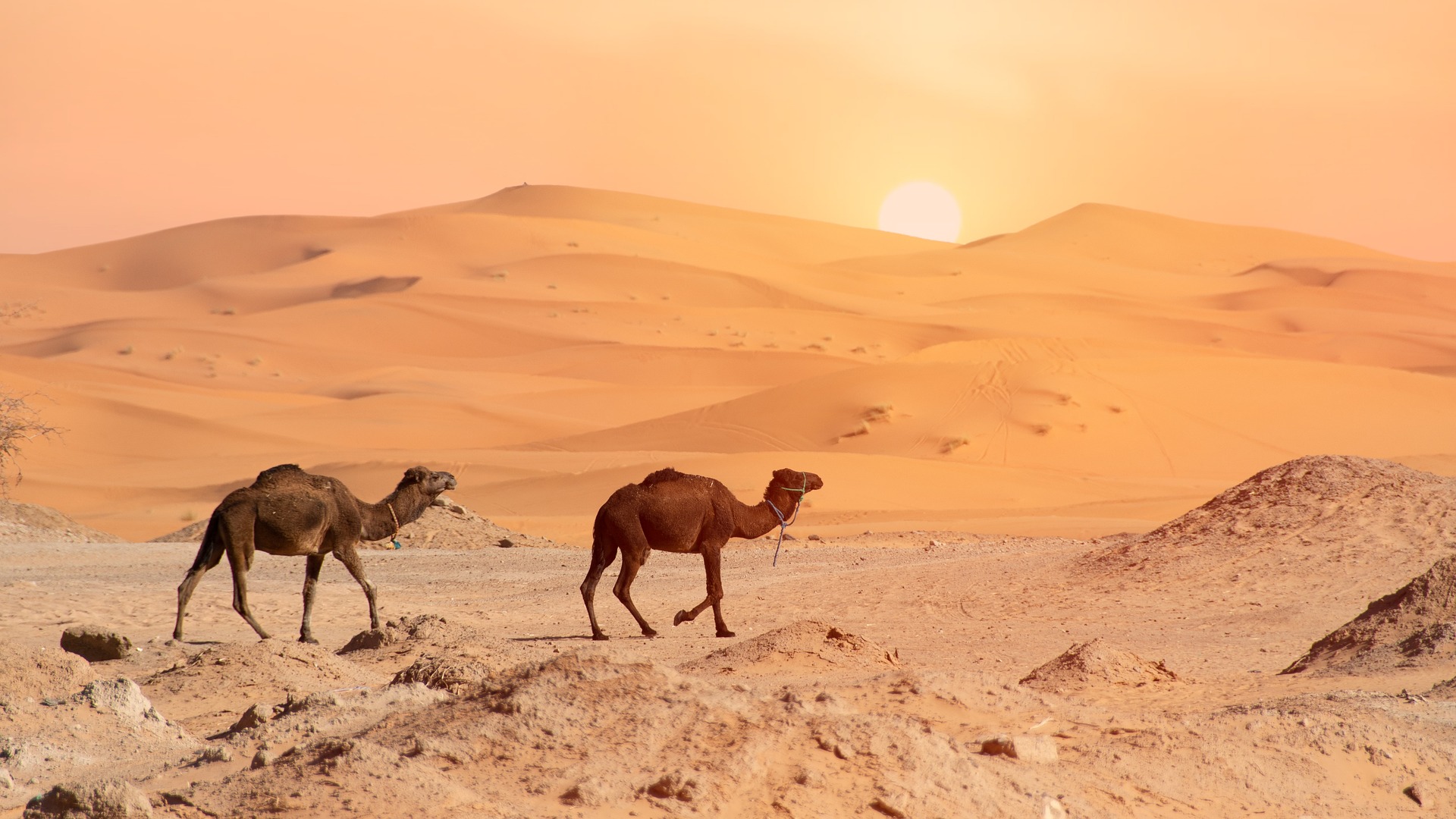 6. Erg Chebbi