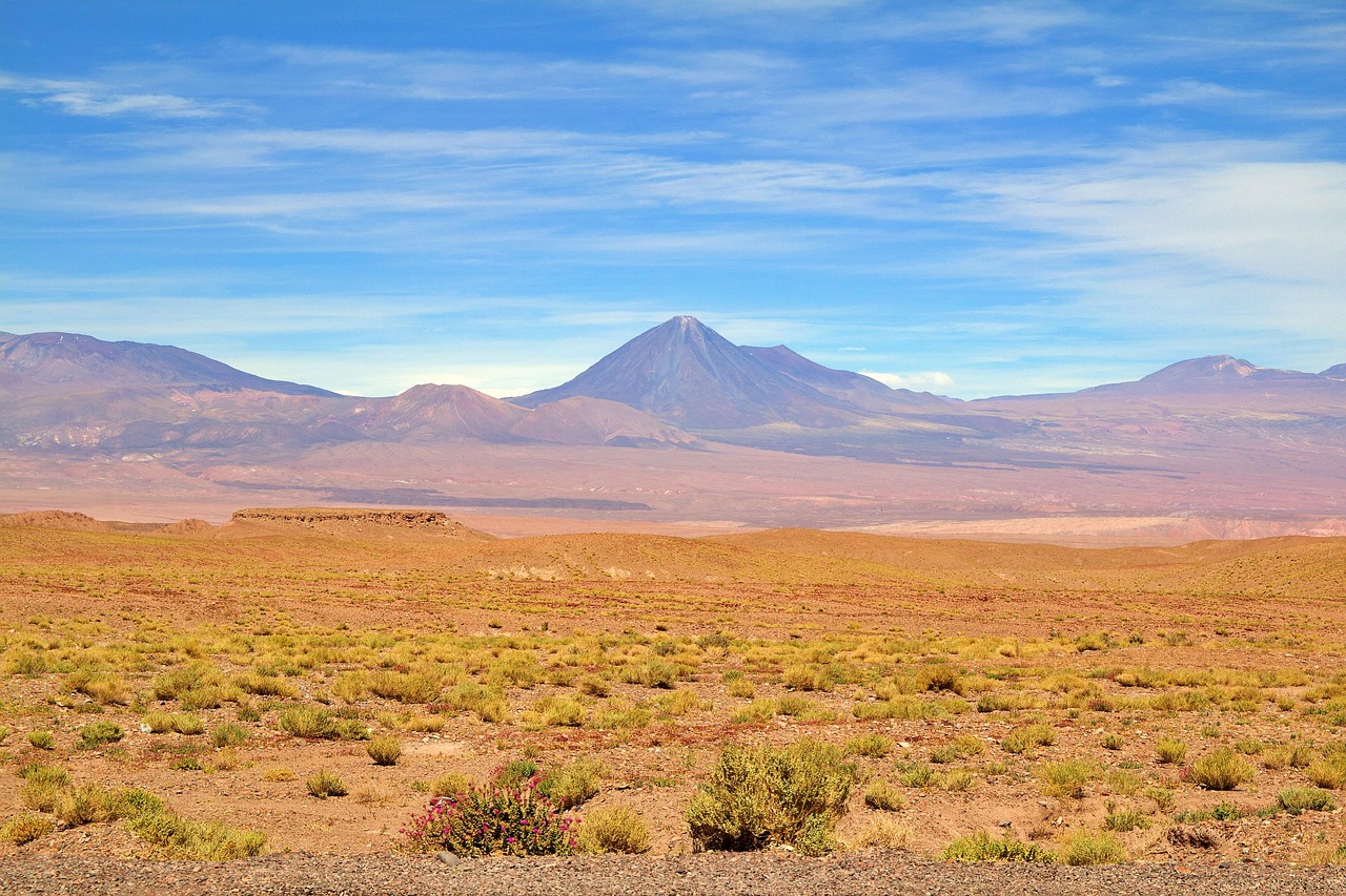 8. Atacama Desert
