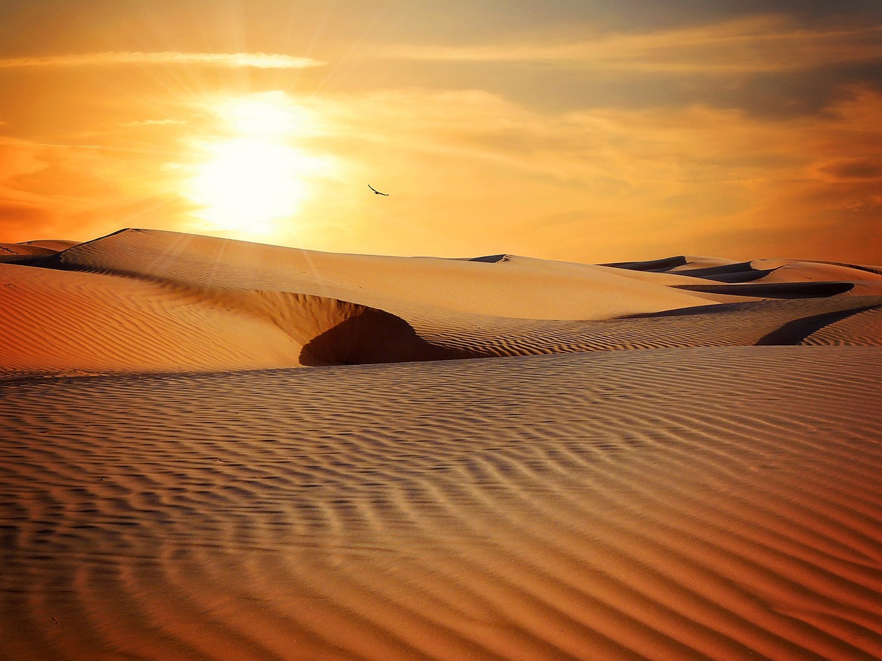 13. Rub’ al Khali