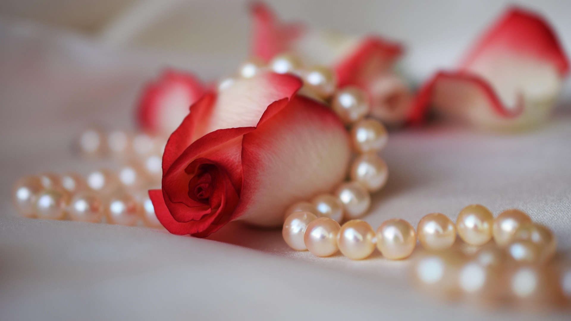Minimalist Jewelry That Will Shine in Your Next Photos