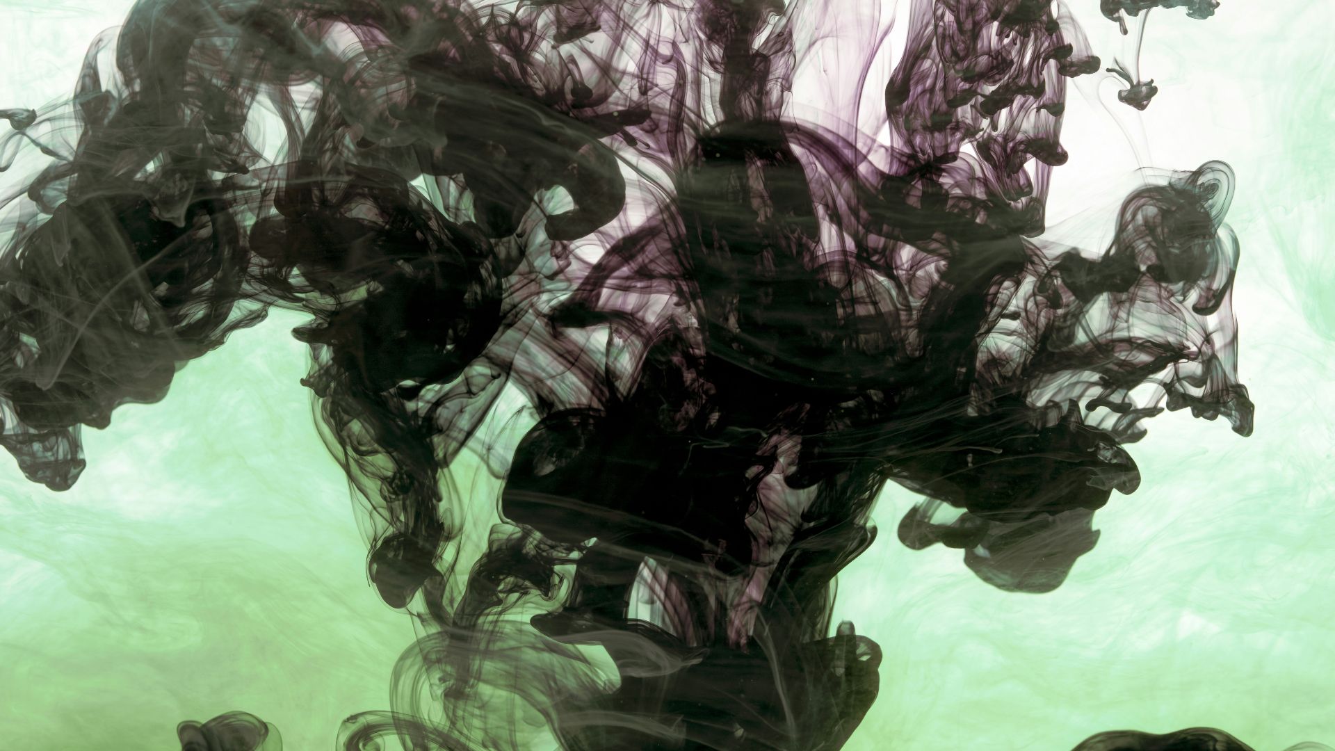 8. Daemons du Chaos