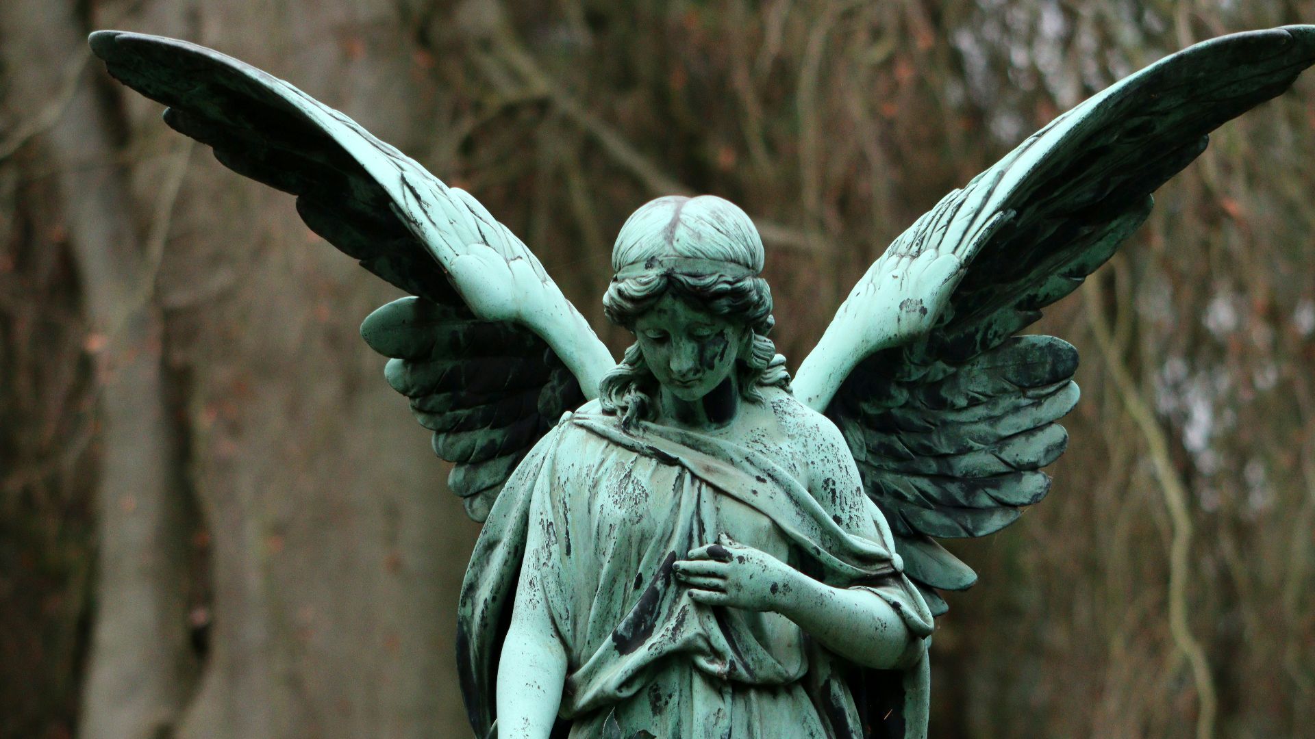 12. Anges de sang