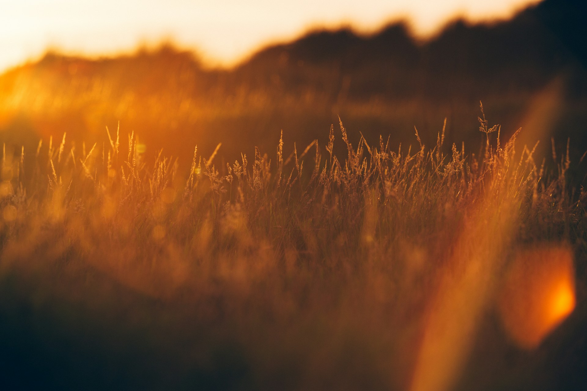 Wait for the Golden Hour