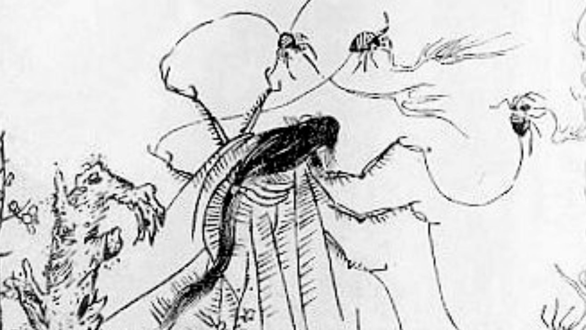 11. Jorōgumo