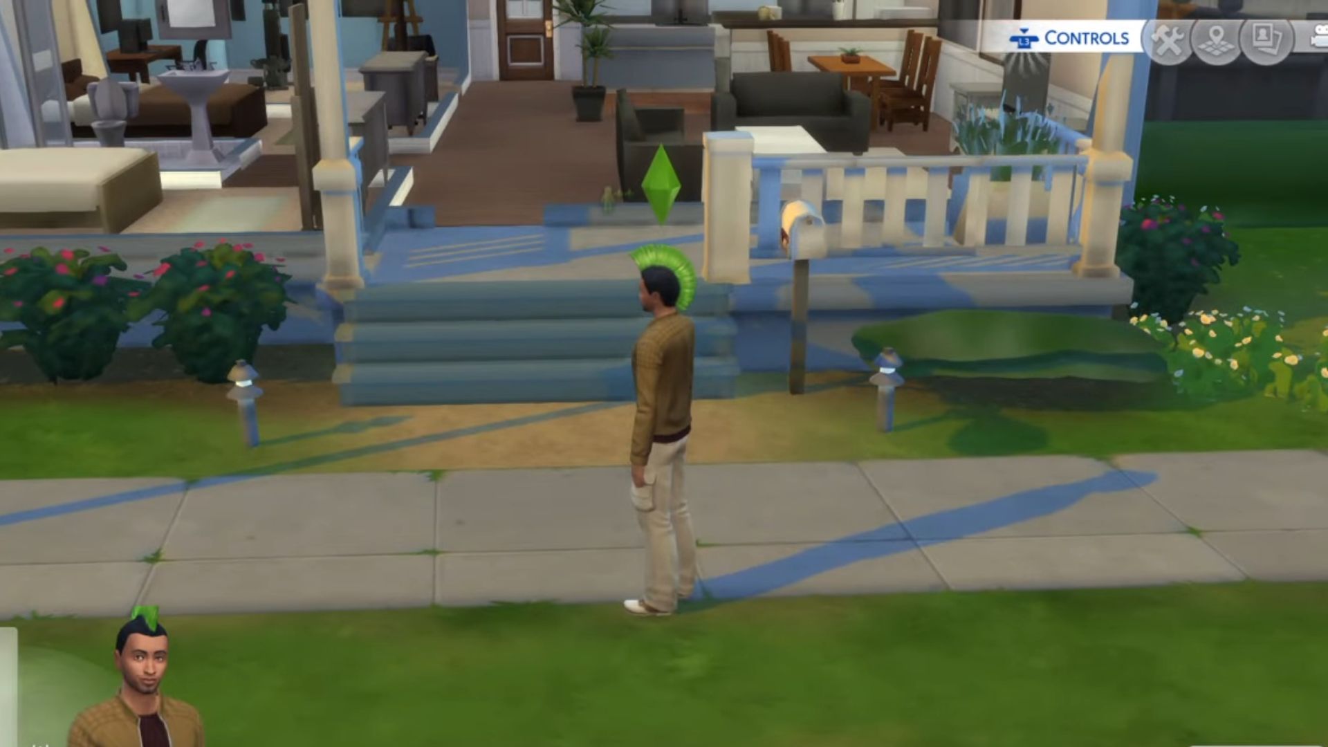 12. Les Sims