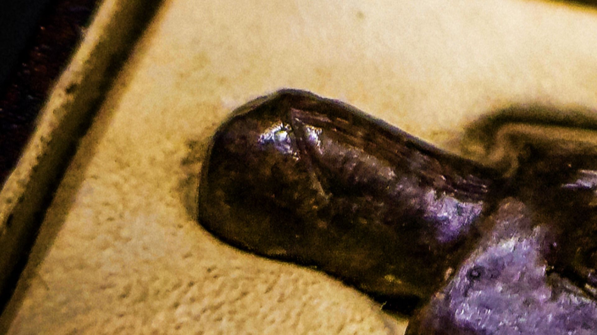 3. Vénus de Dolni Vestonice (29 000-25 000 avant notre ère)