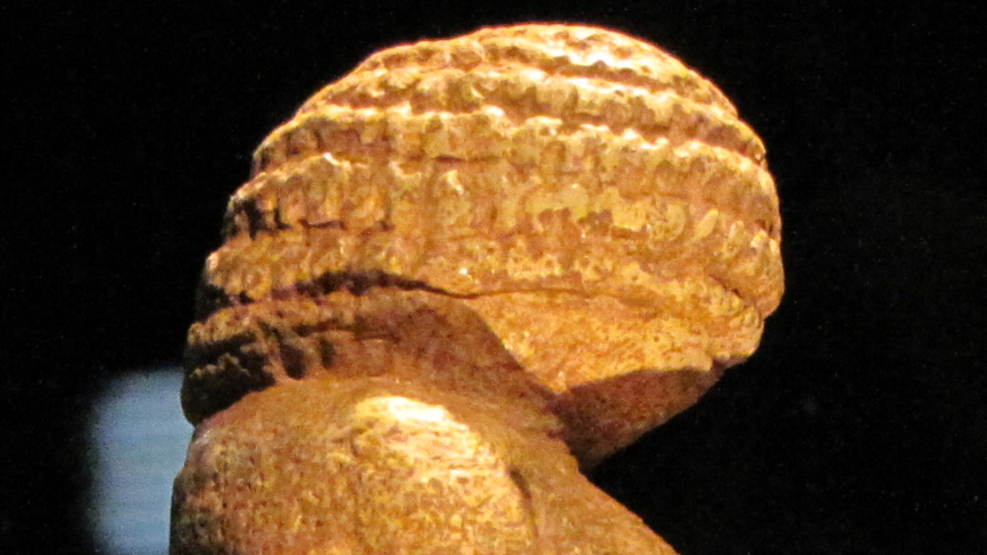 4. Vénus de Willendorf (28 000-25 000 avant notre ère)