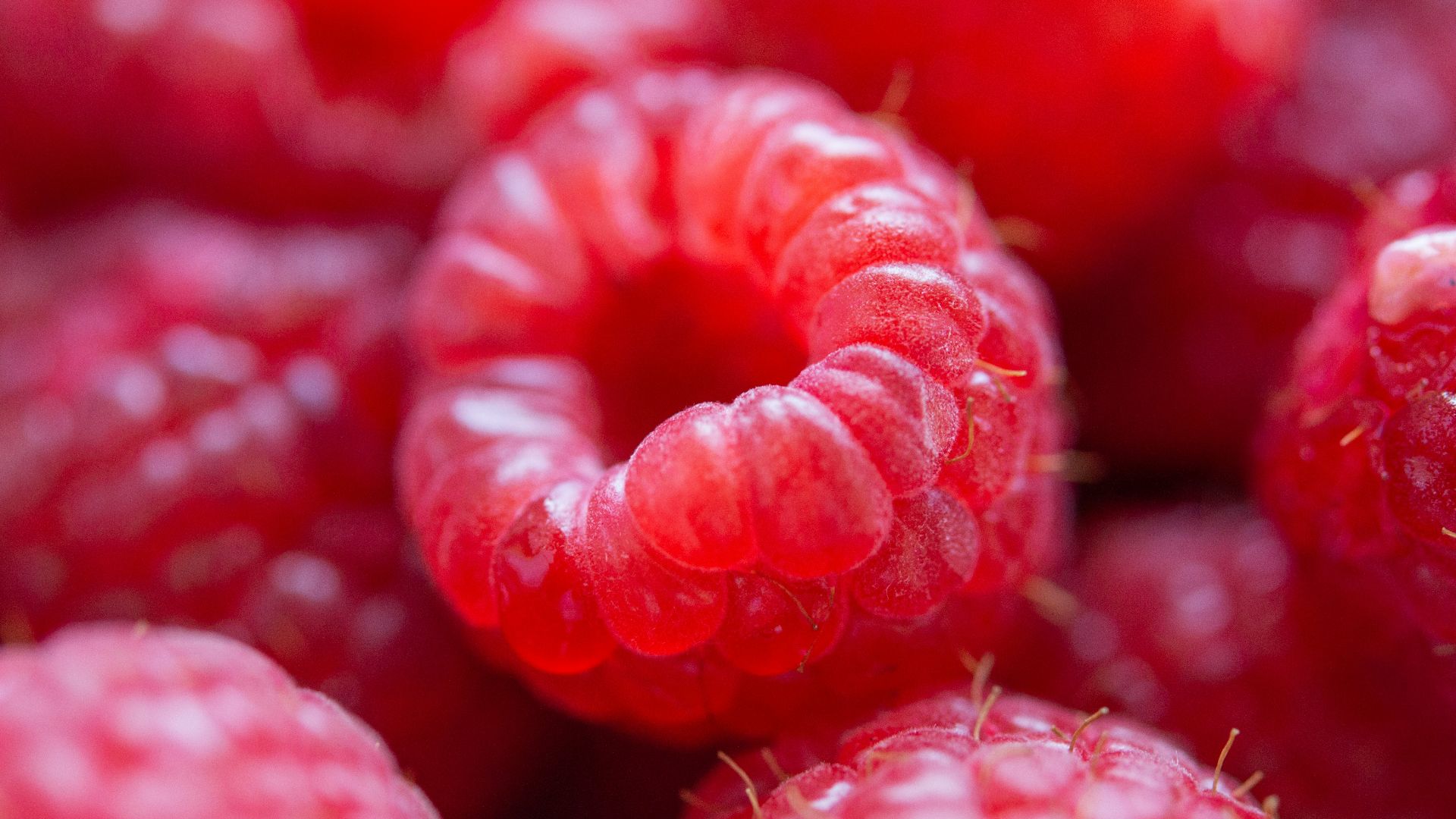 4. Framboises