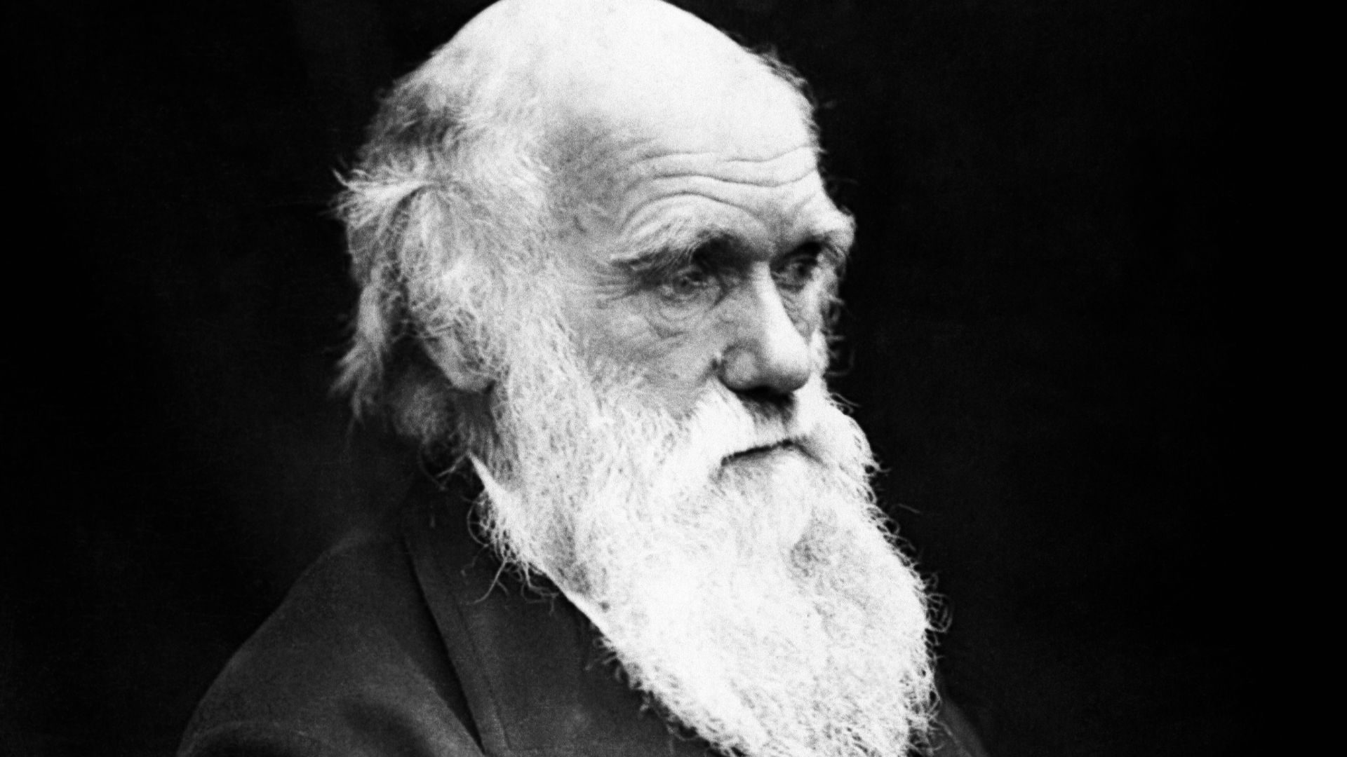 4. Charles Darwin