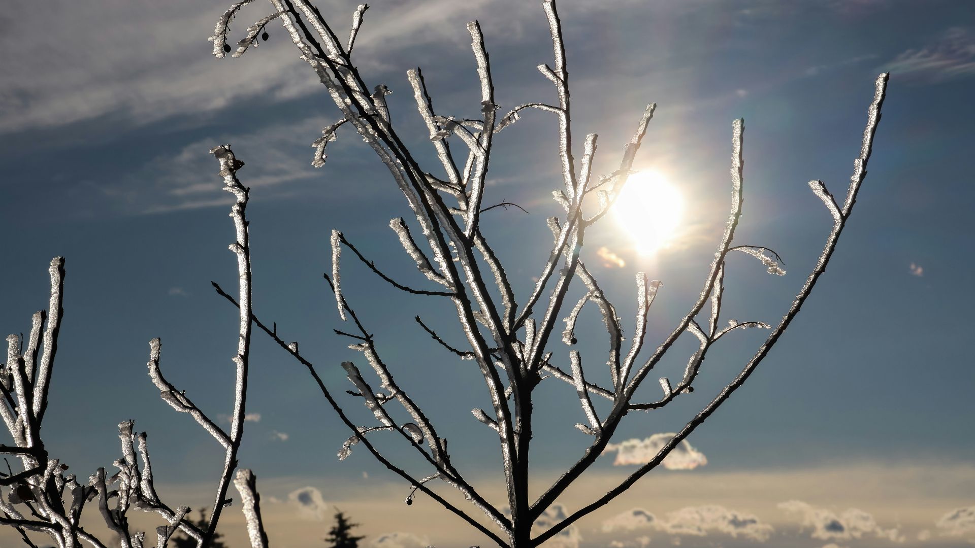3. Le soleil est froid
