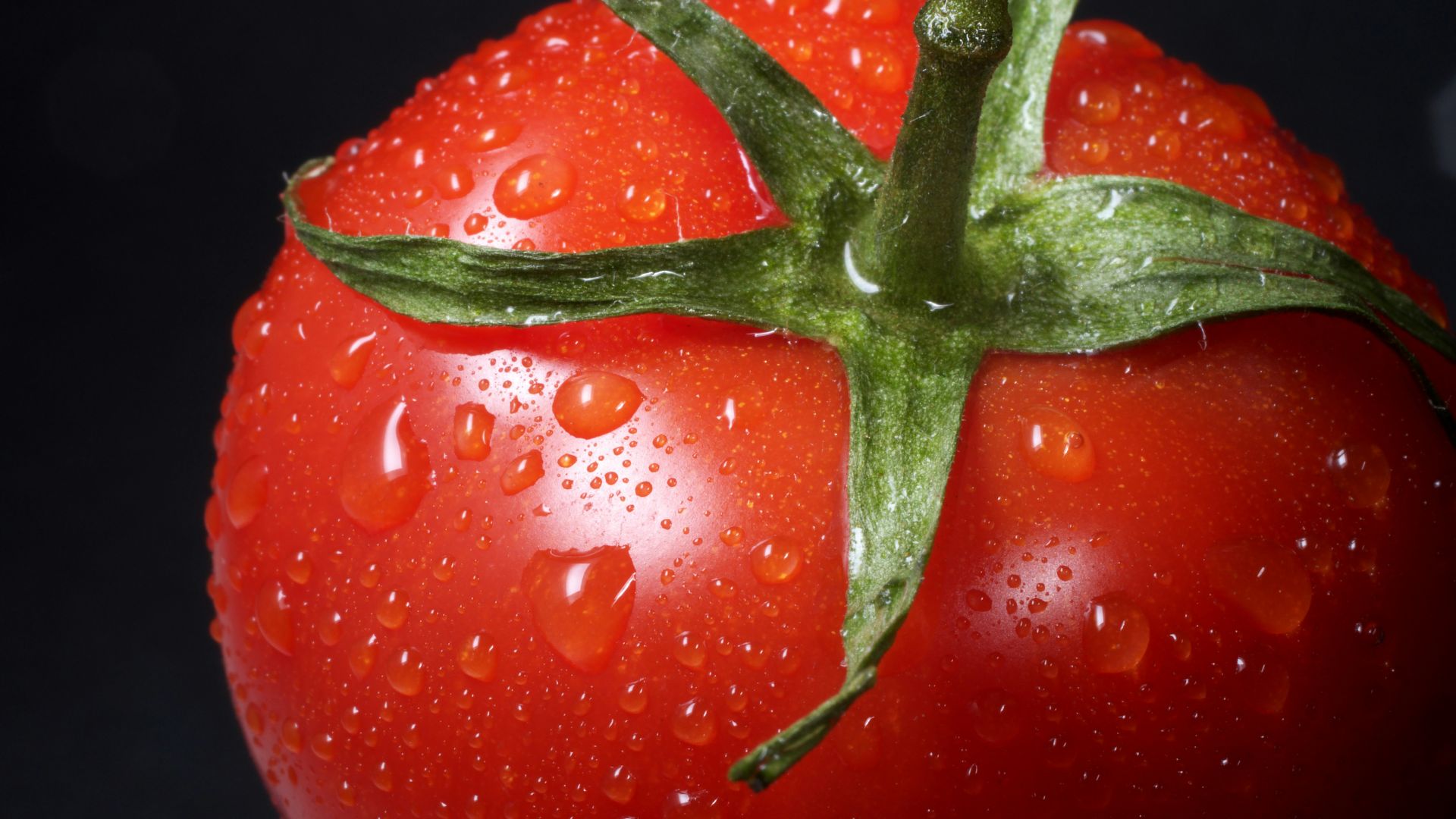 6. Les tomates sont toxiques