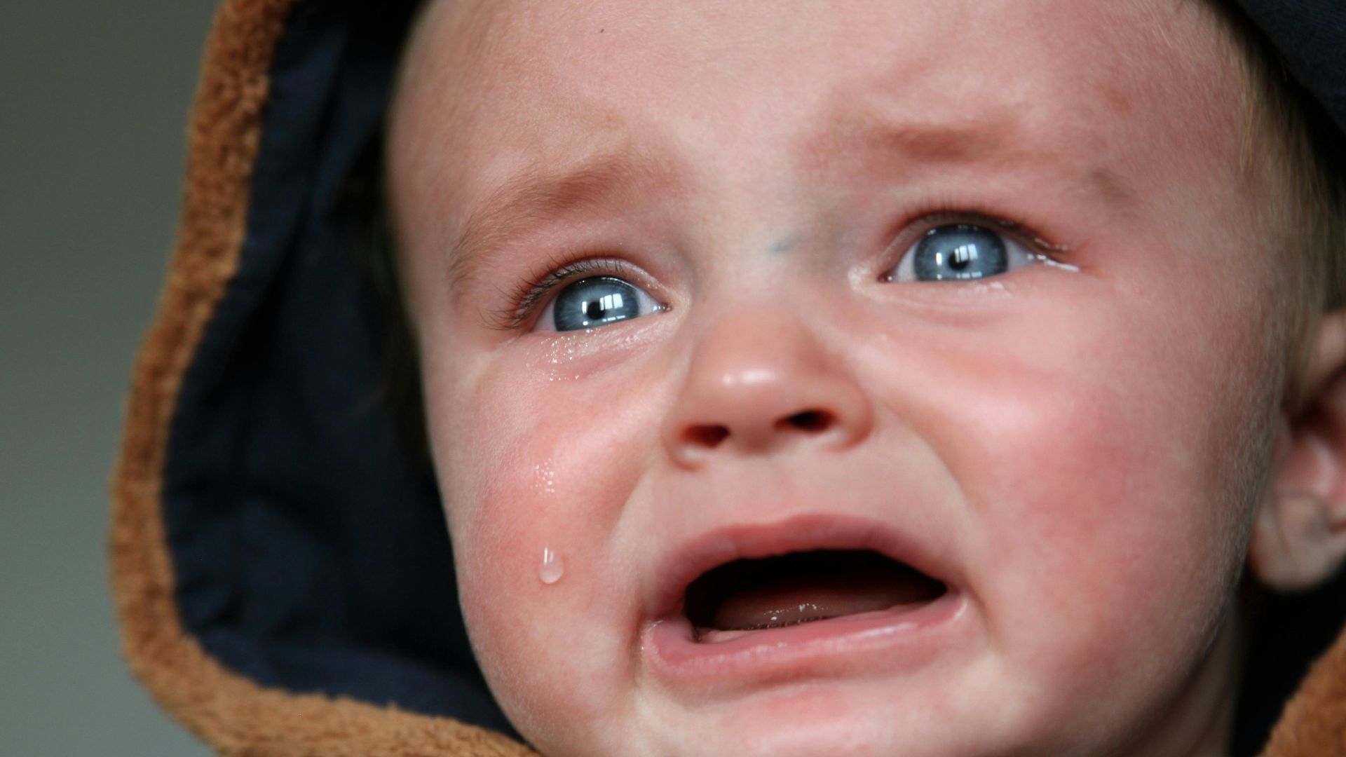 17. Les bébés ne ressentent pas la douleur