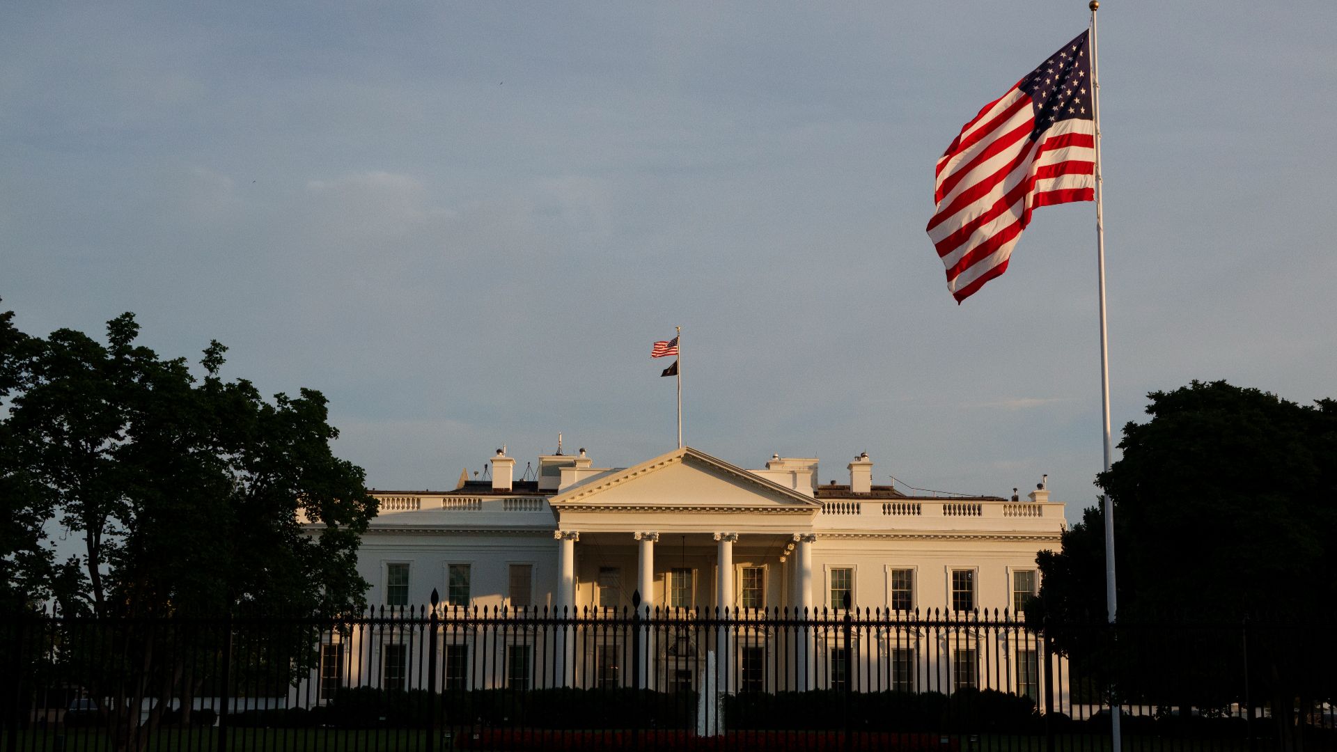American flags