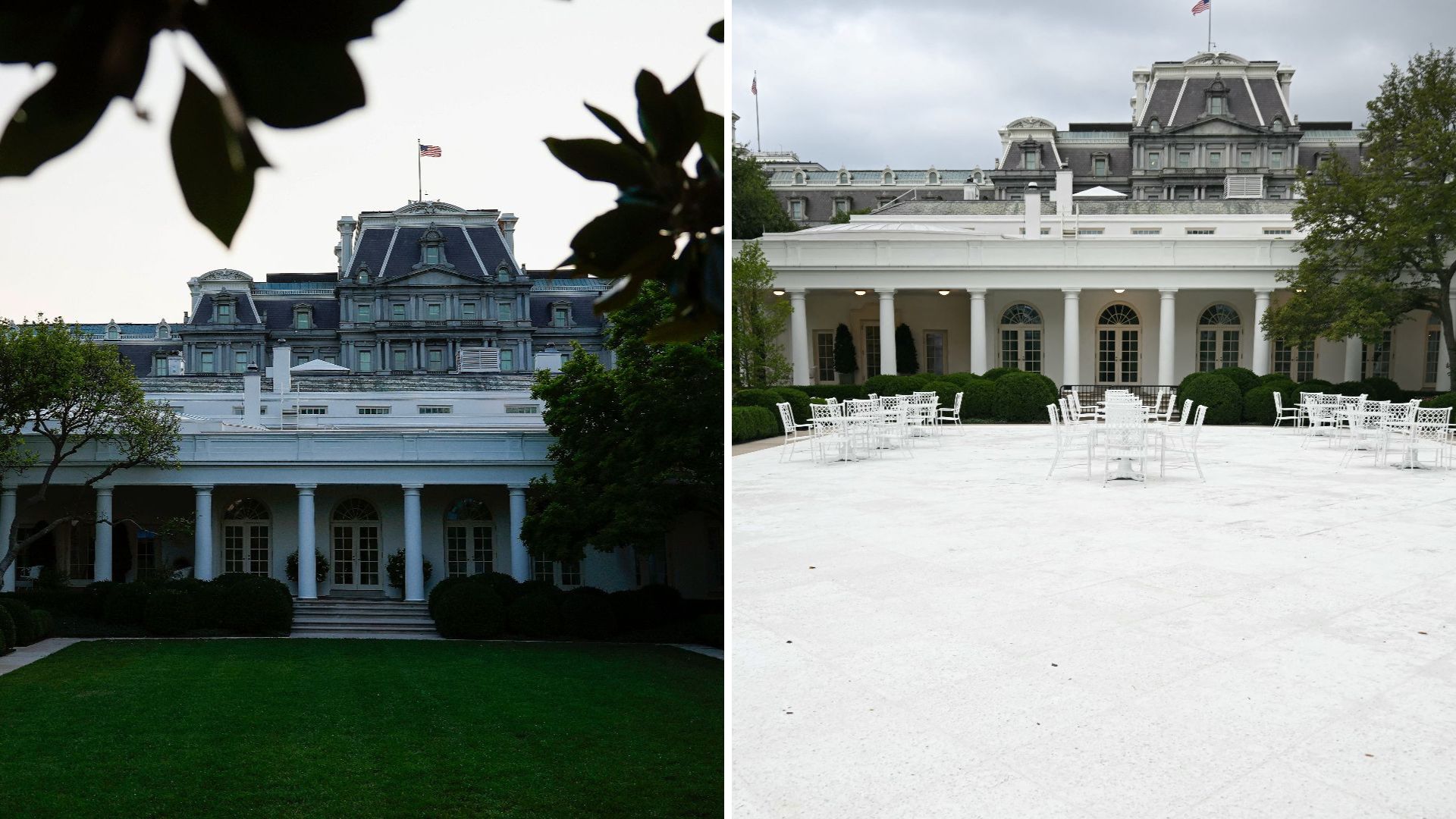 Rose Garden