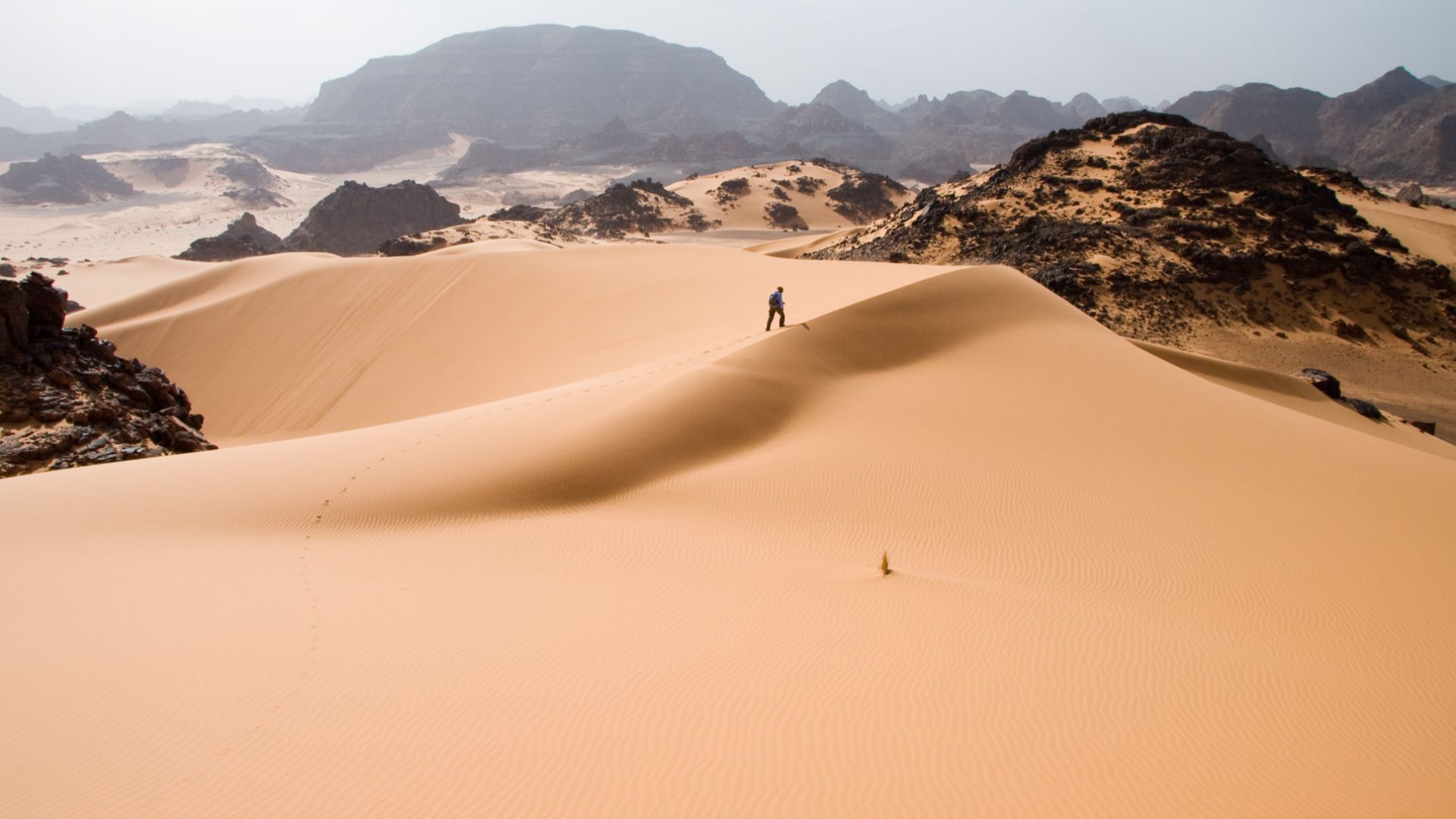 19. L'expansion du désert du Sahara a favorisé les migrations anciennes