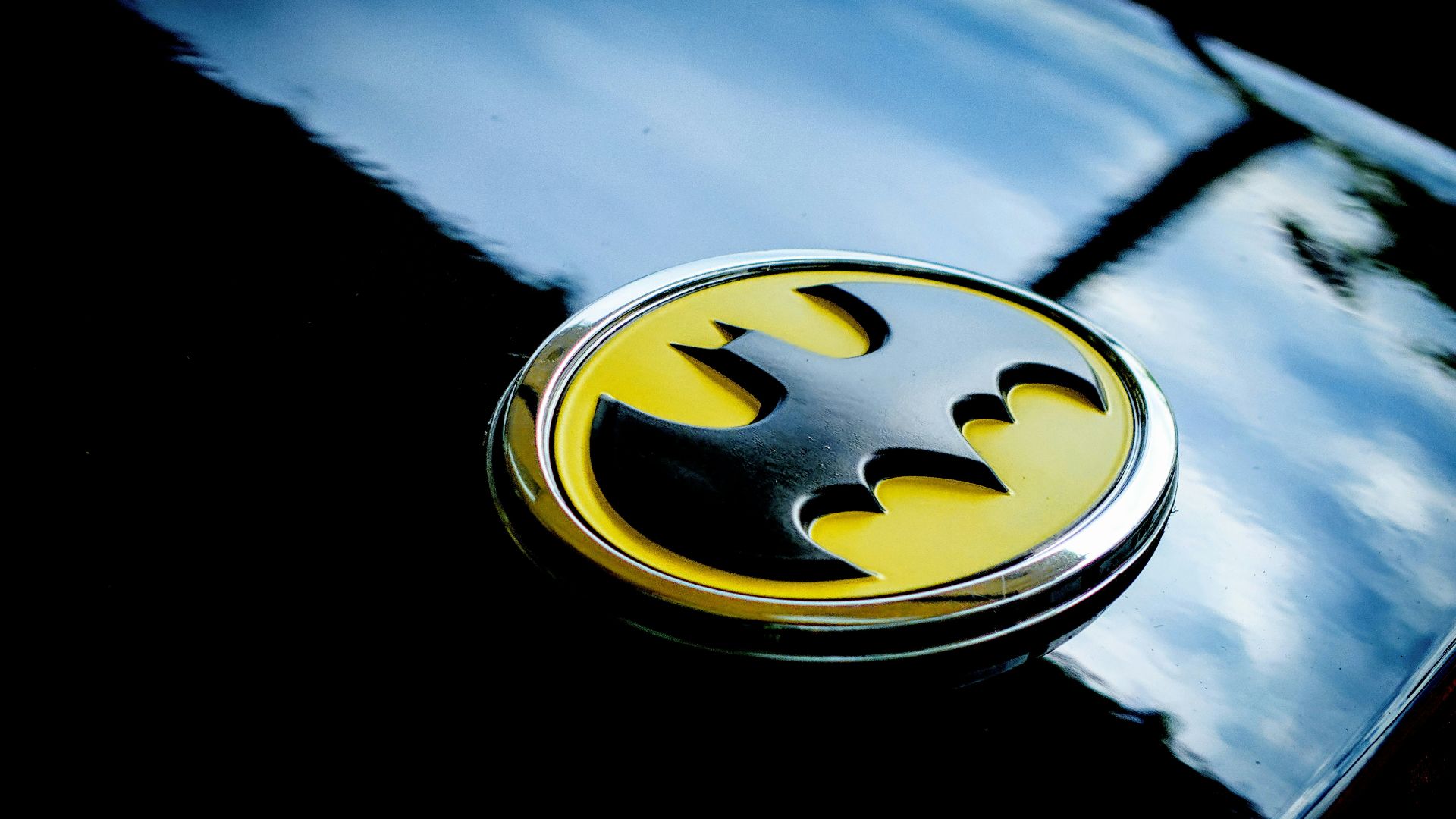 8. Aile de chauve-souris