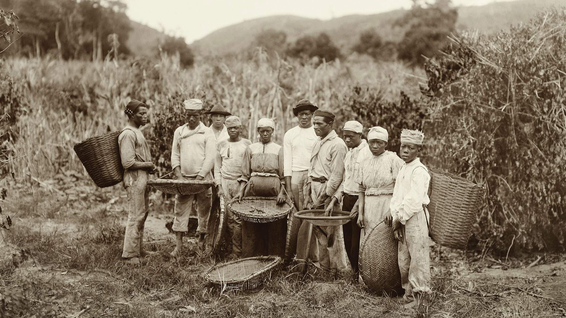 7. Le café, moteur de l'essor des empires commerciaux mondiaux