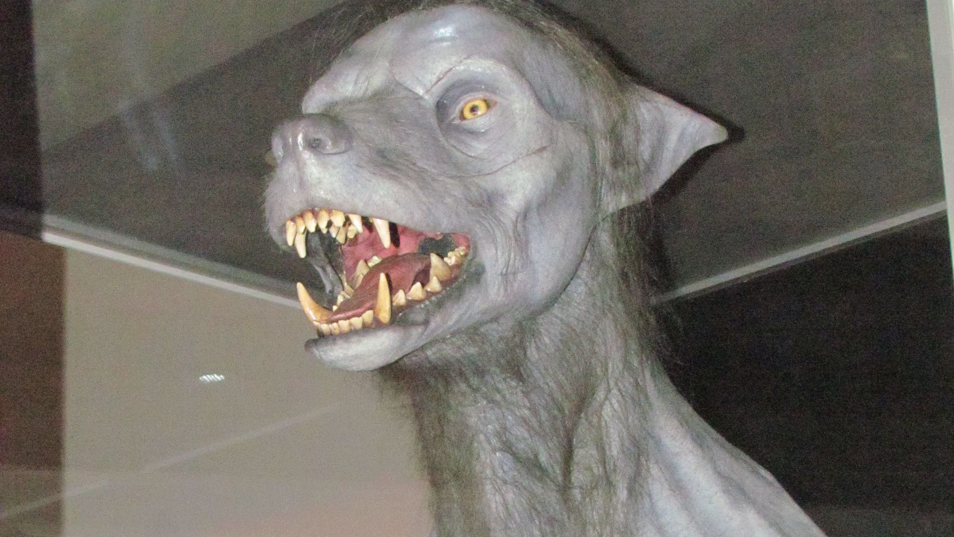 2. Remus Lupin