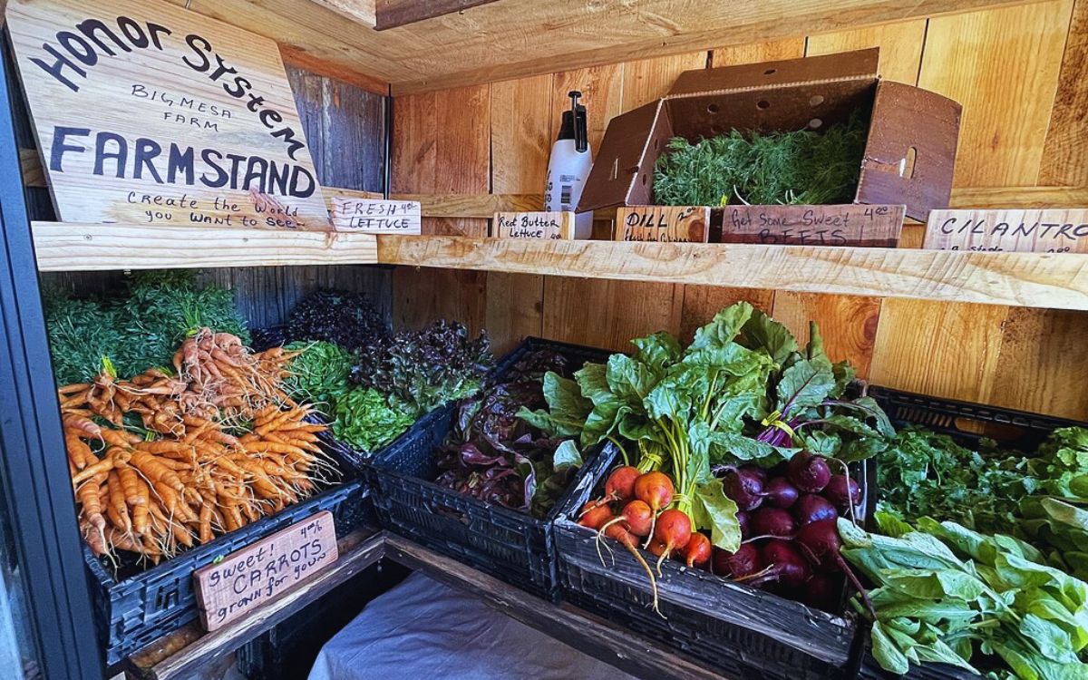 “Organic” Means No Pesticides