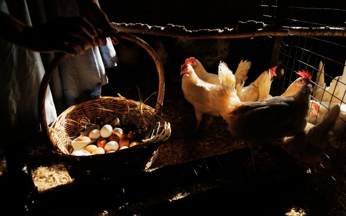 “Farm Fresh” Means Freshly Harvested