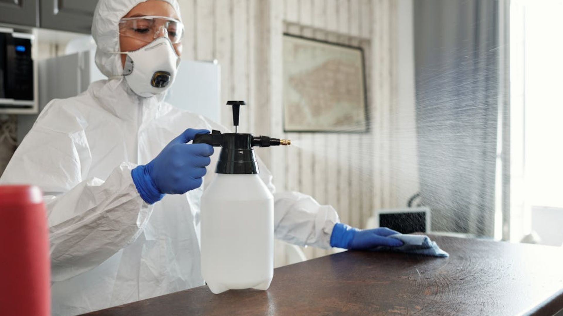 Over-Disinfecting Isn’t Always Good For You