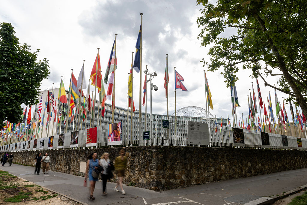 A call for international intervention