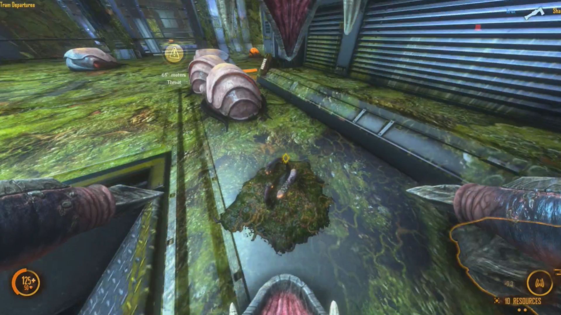 7. Natural Selection