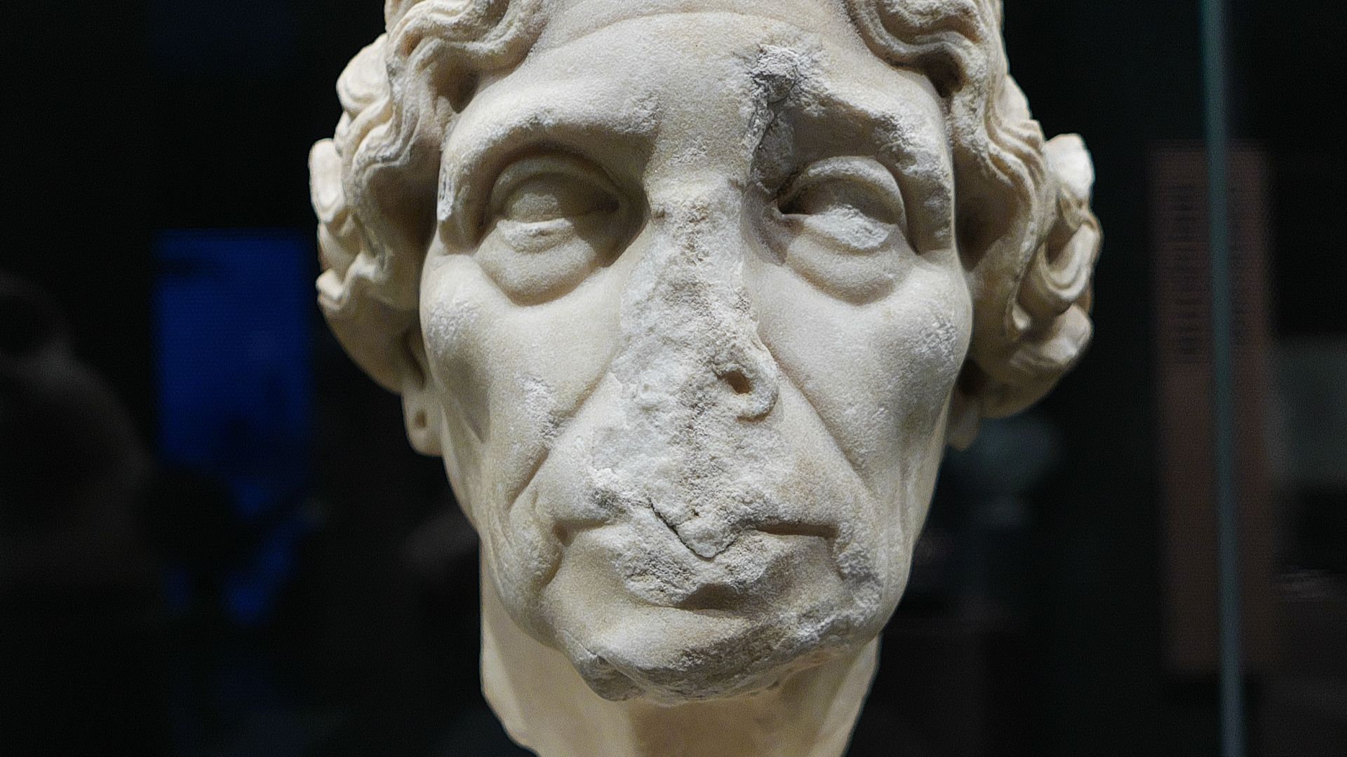 13. Lysimache