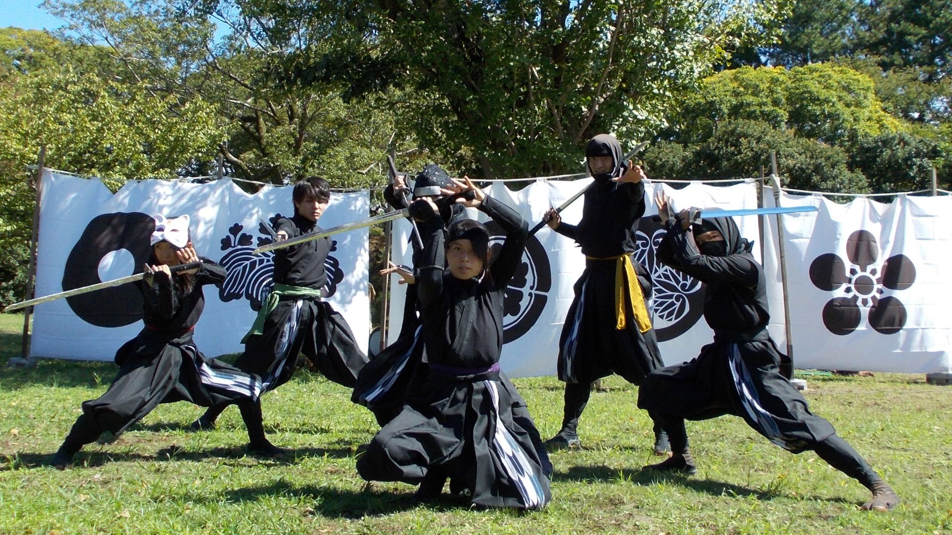 20. Les Ninjas