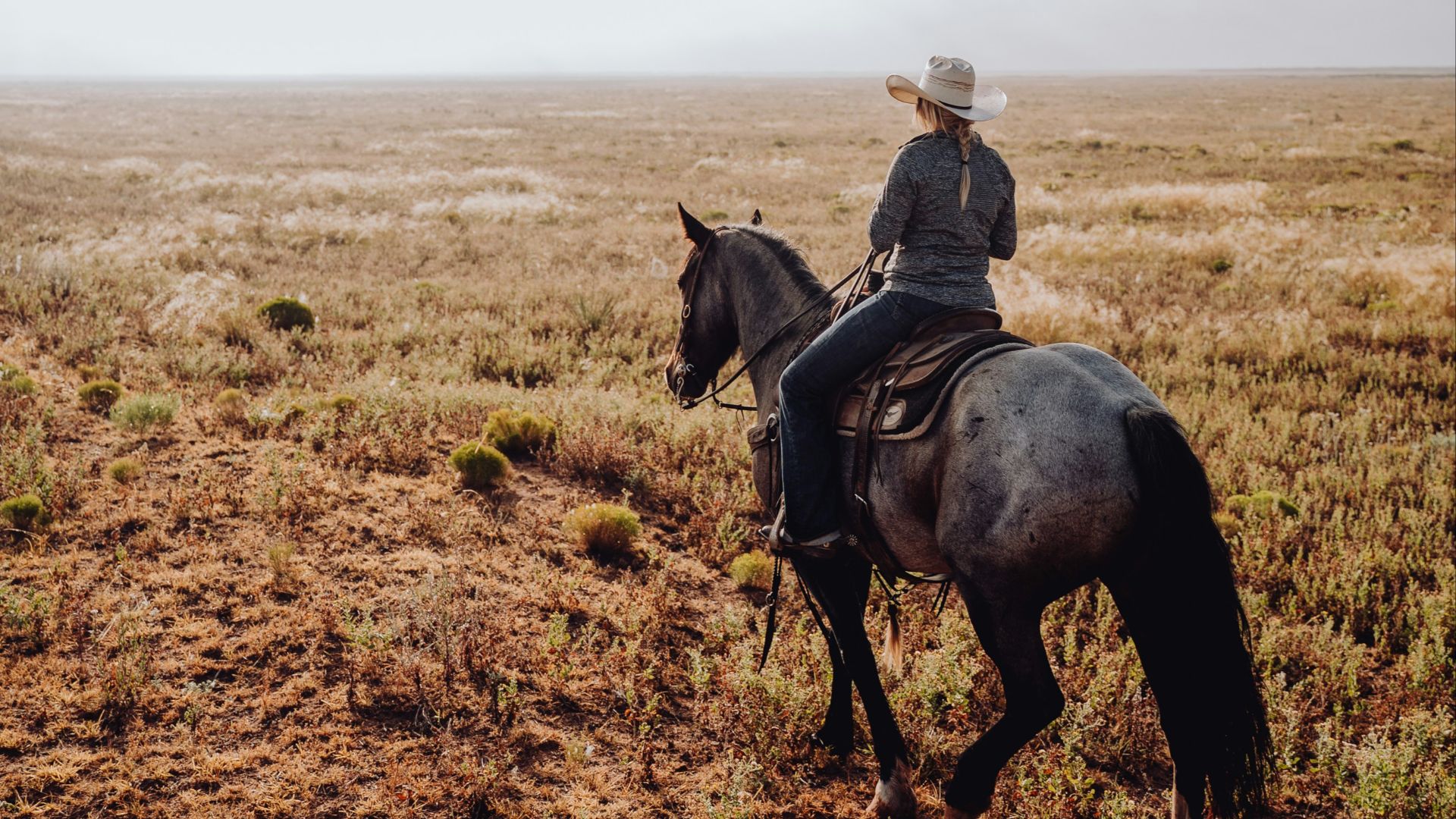 11. "Tenderfoot"